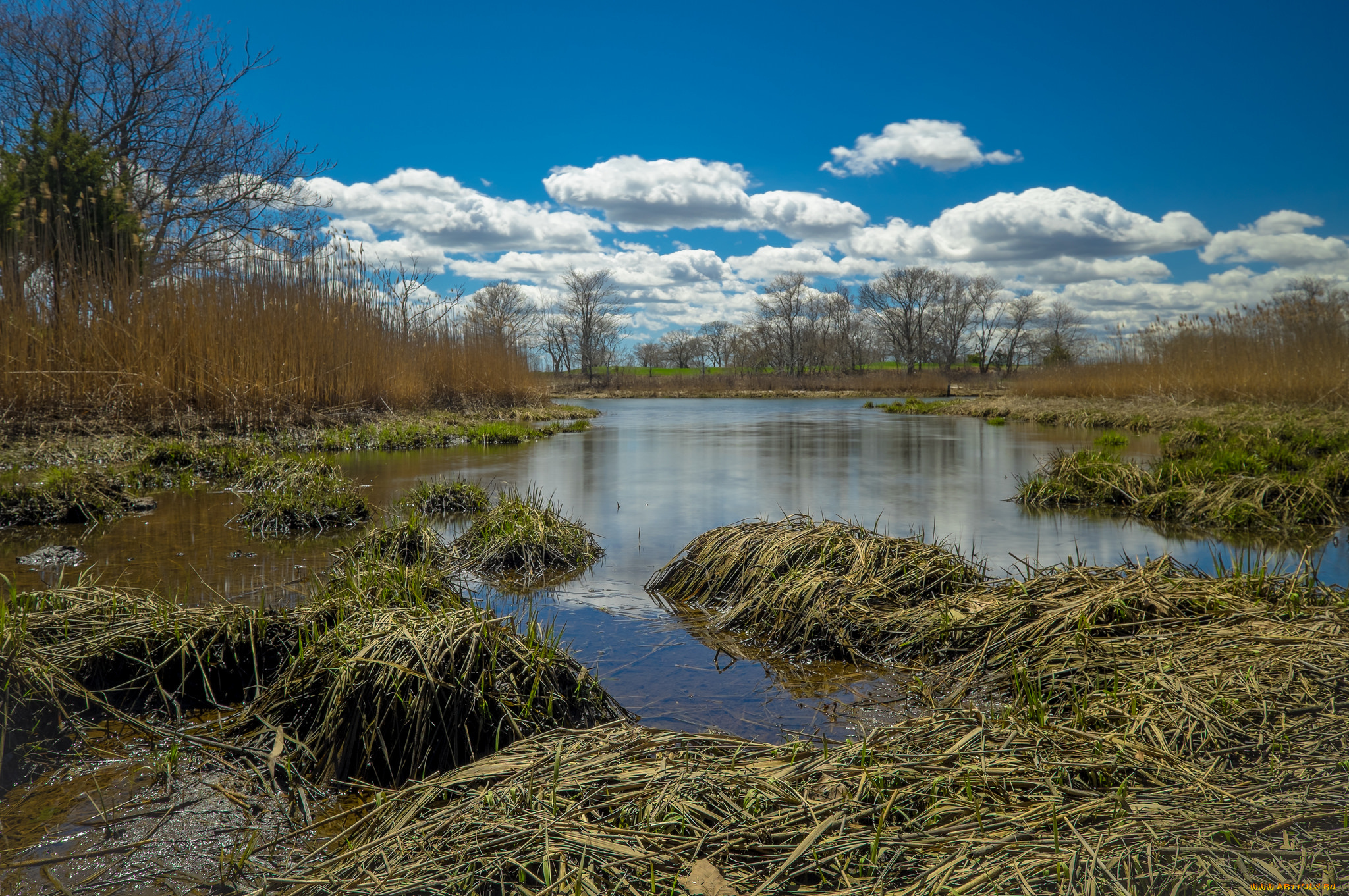 природа, реки, озера, простор