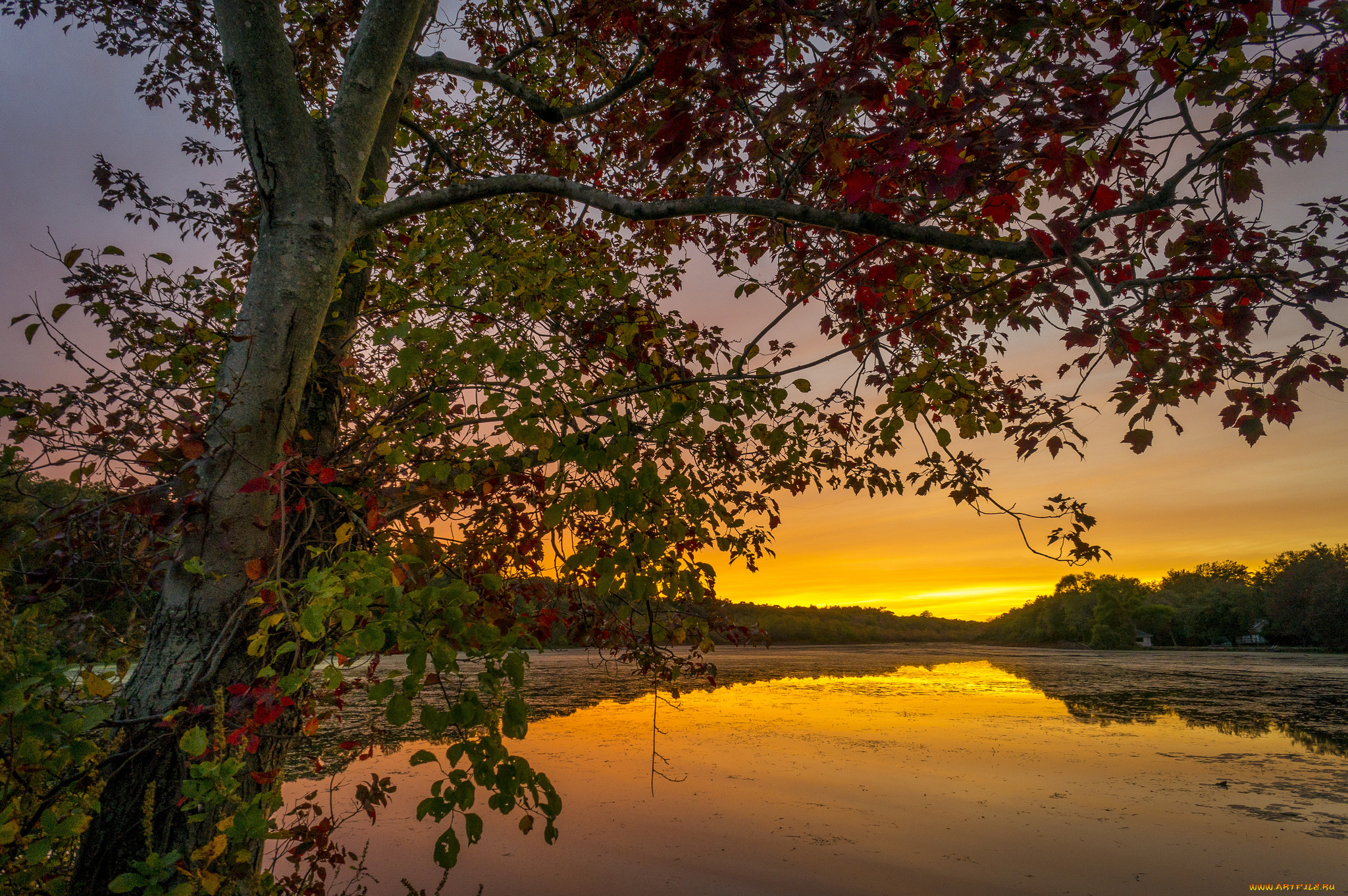 природа, реки, озера, простор