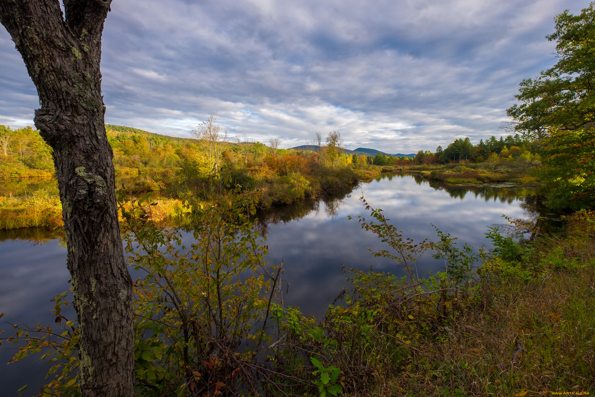 природа, реки, озера, простор