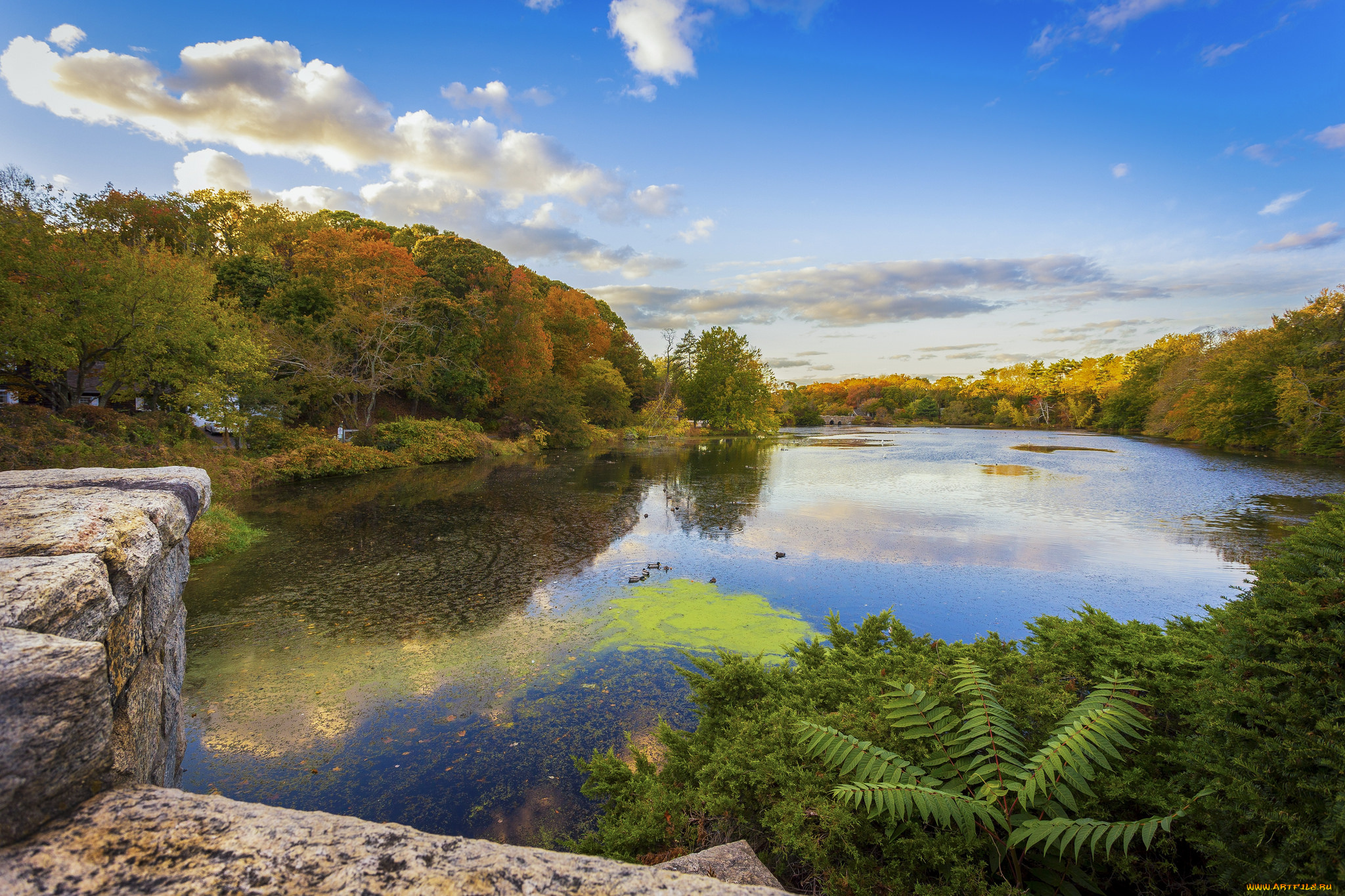 природа, реки, озера, простор