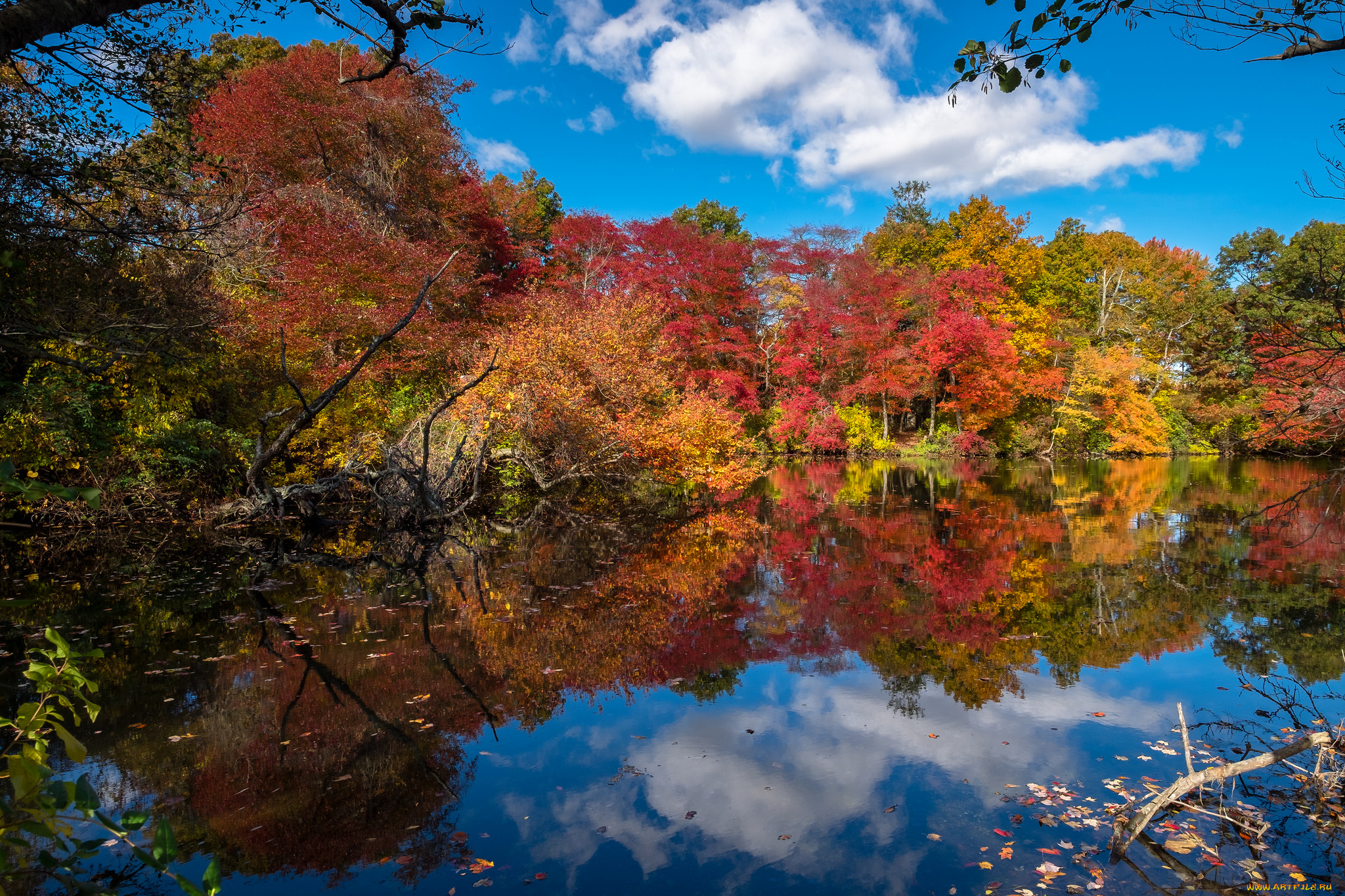 природа, реки, озера, простор