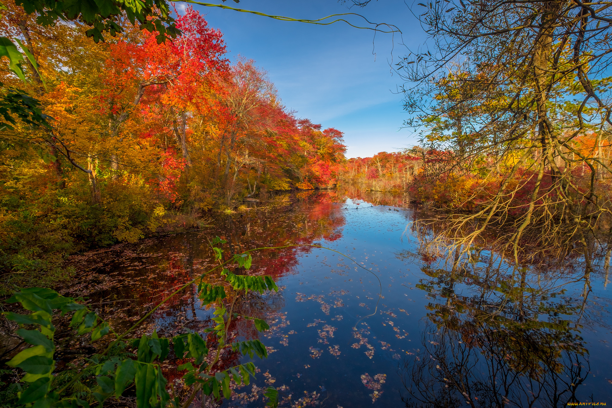 природа, реки, озера, простор