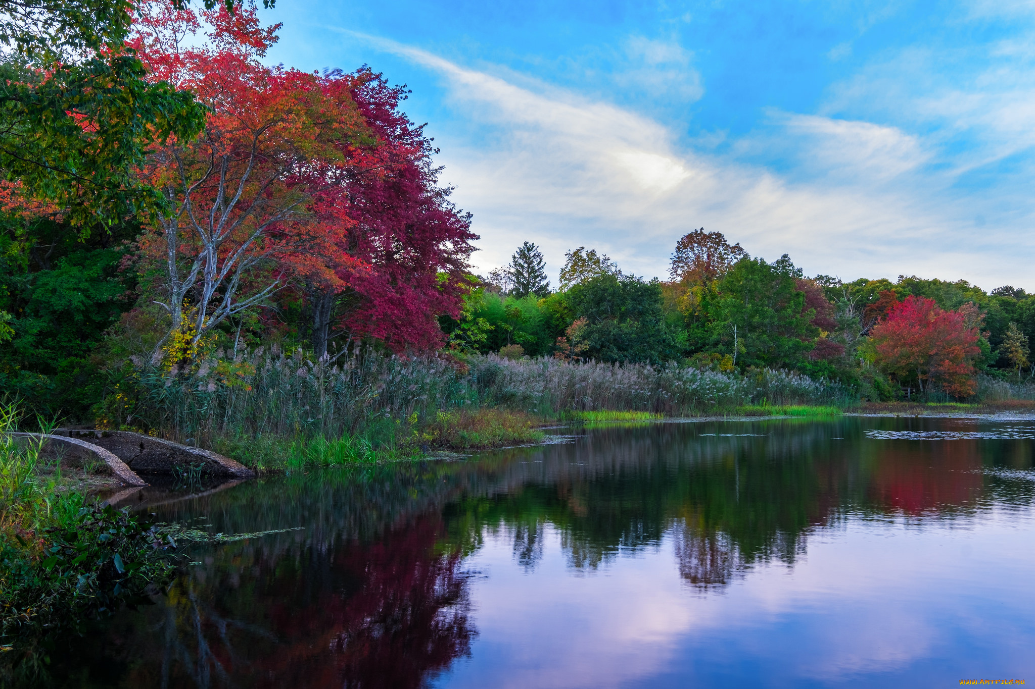 природа, реки, озера, простор