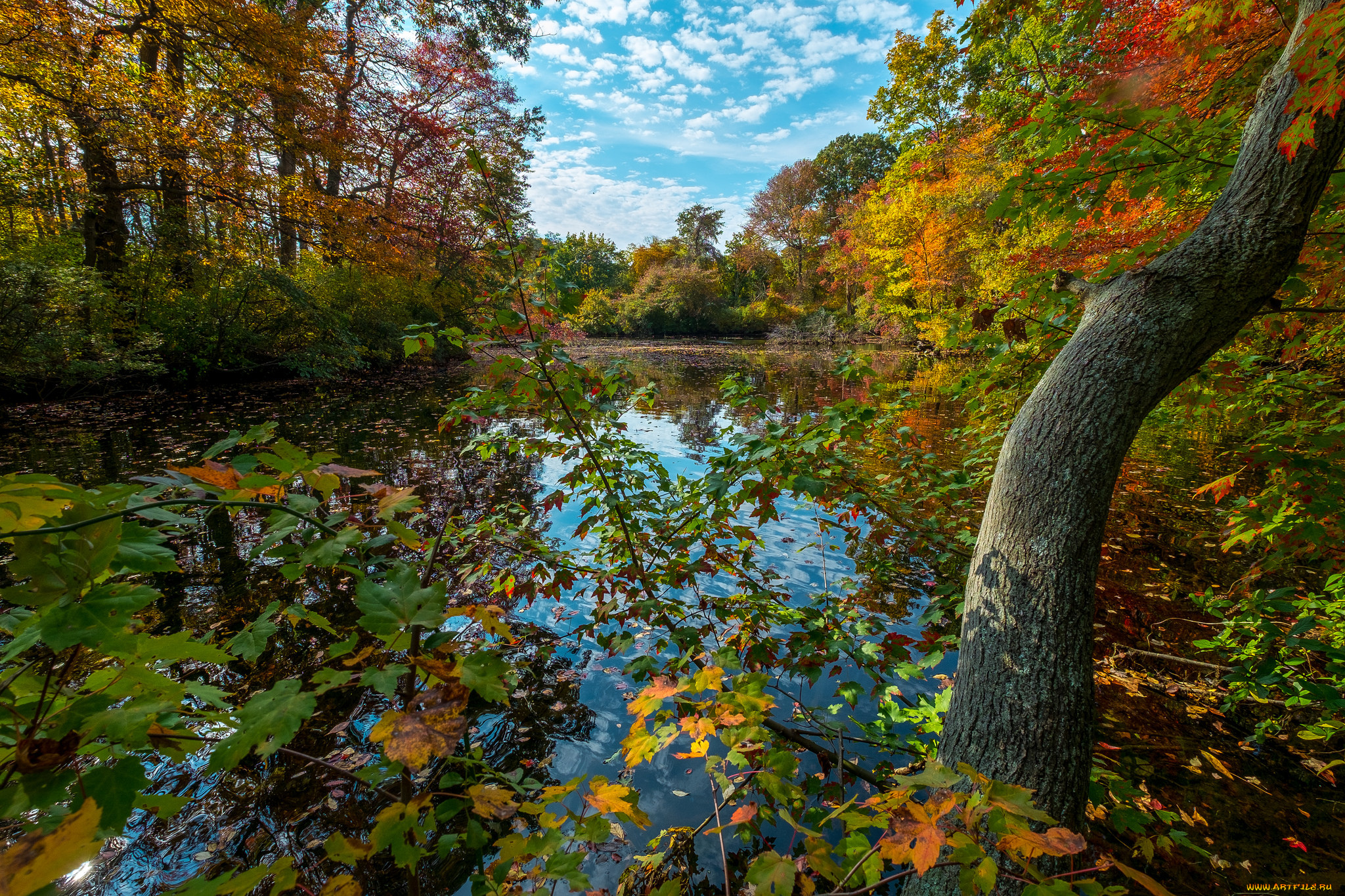 природа, реки, озера, простор