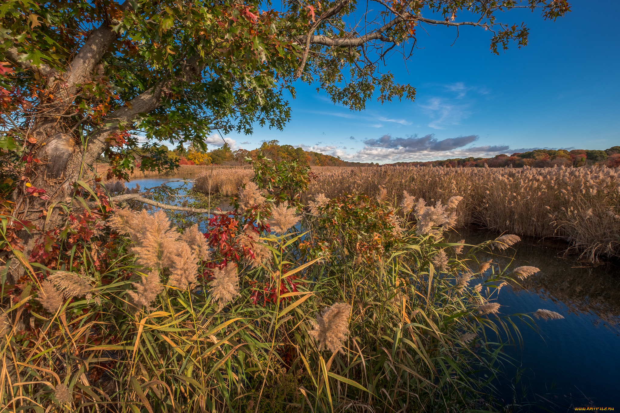 природа, реки, озера, простор