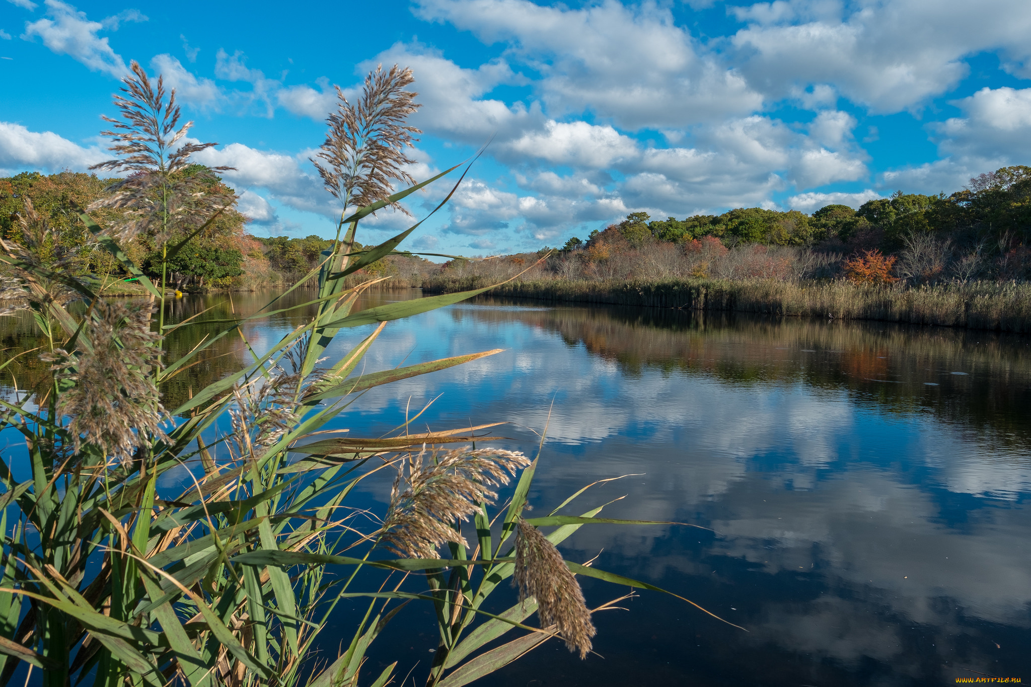 природа, реки, озера, простор