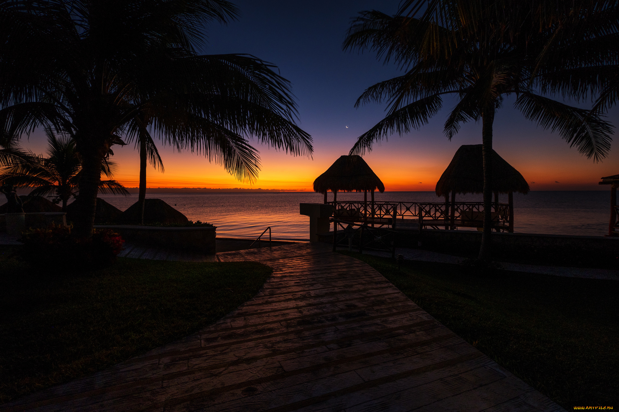 природа, тропики, простор