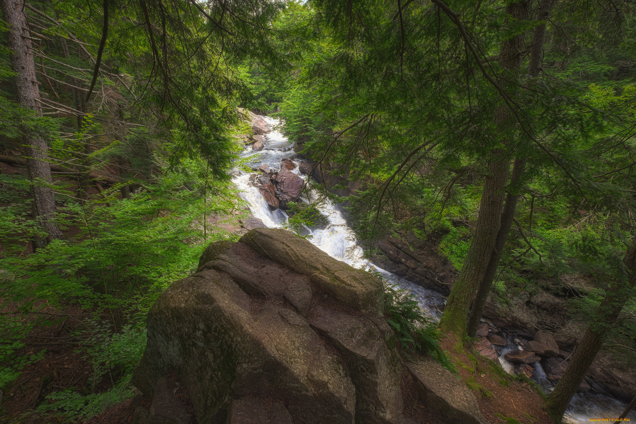 природа, реки, озера, простор