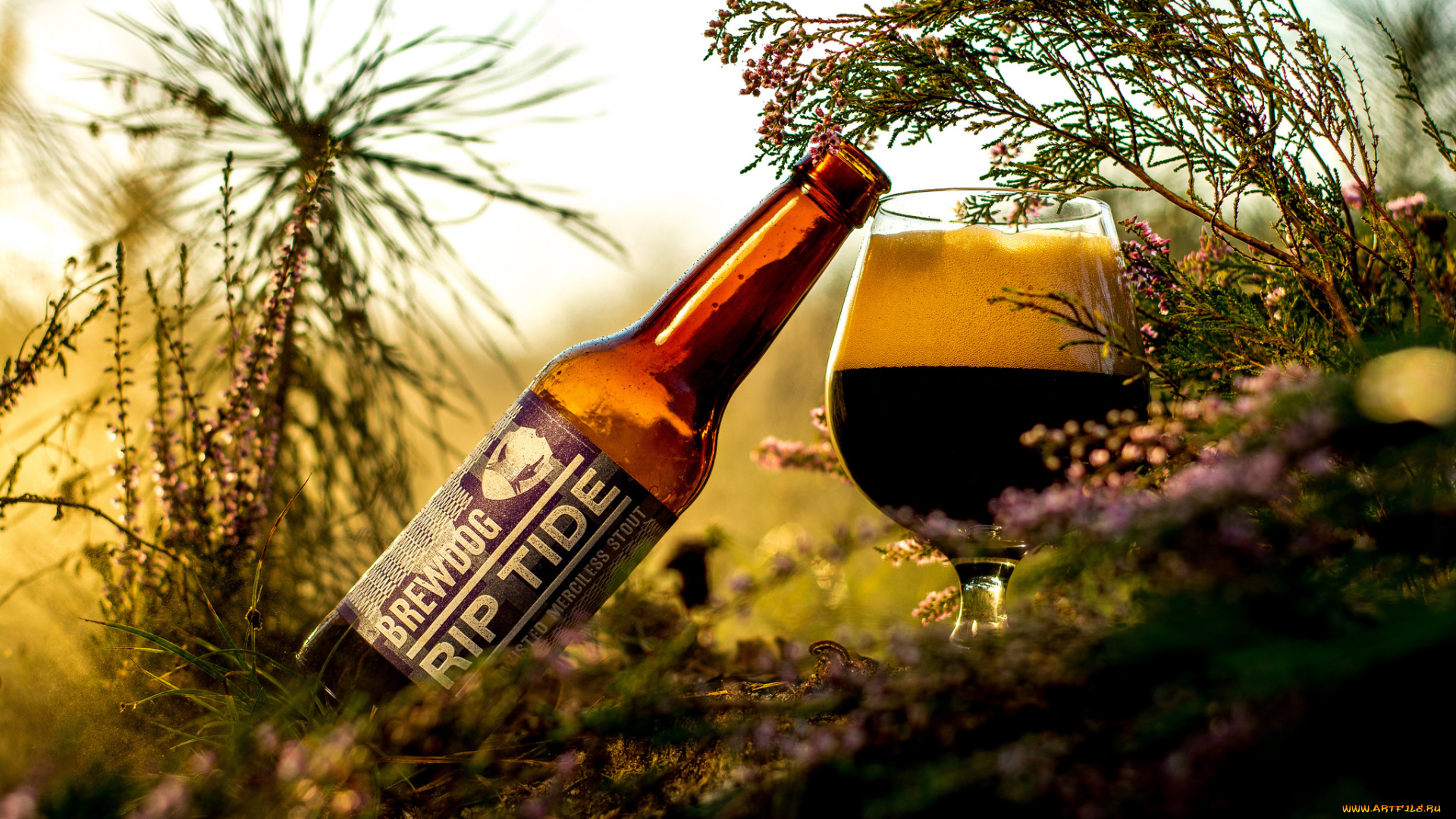 бренды, бренды, напитков, , разное, пиво