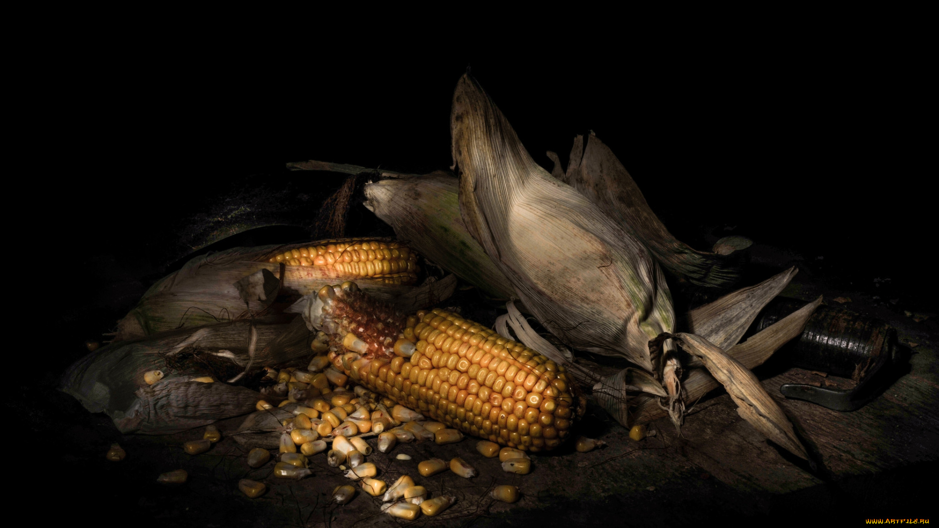 еда, кукуруза, снедь