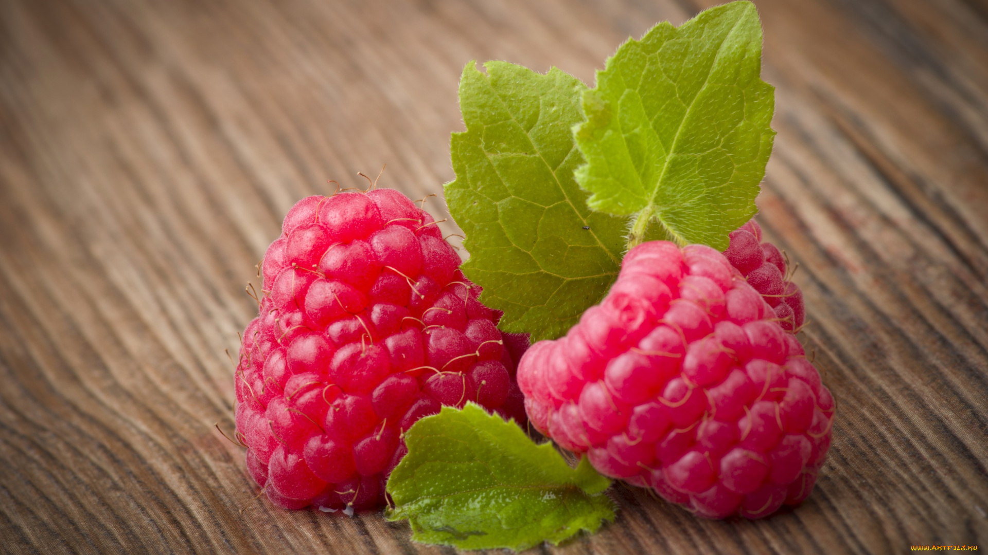 еда, малина, ягоды, листва, wood
