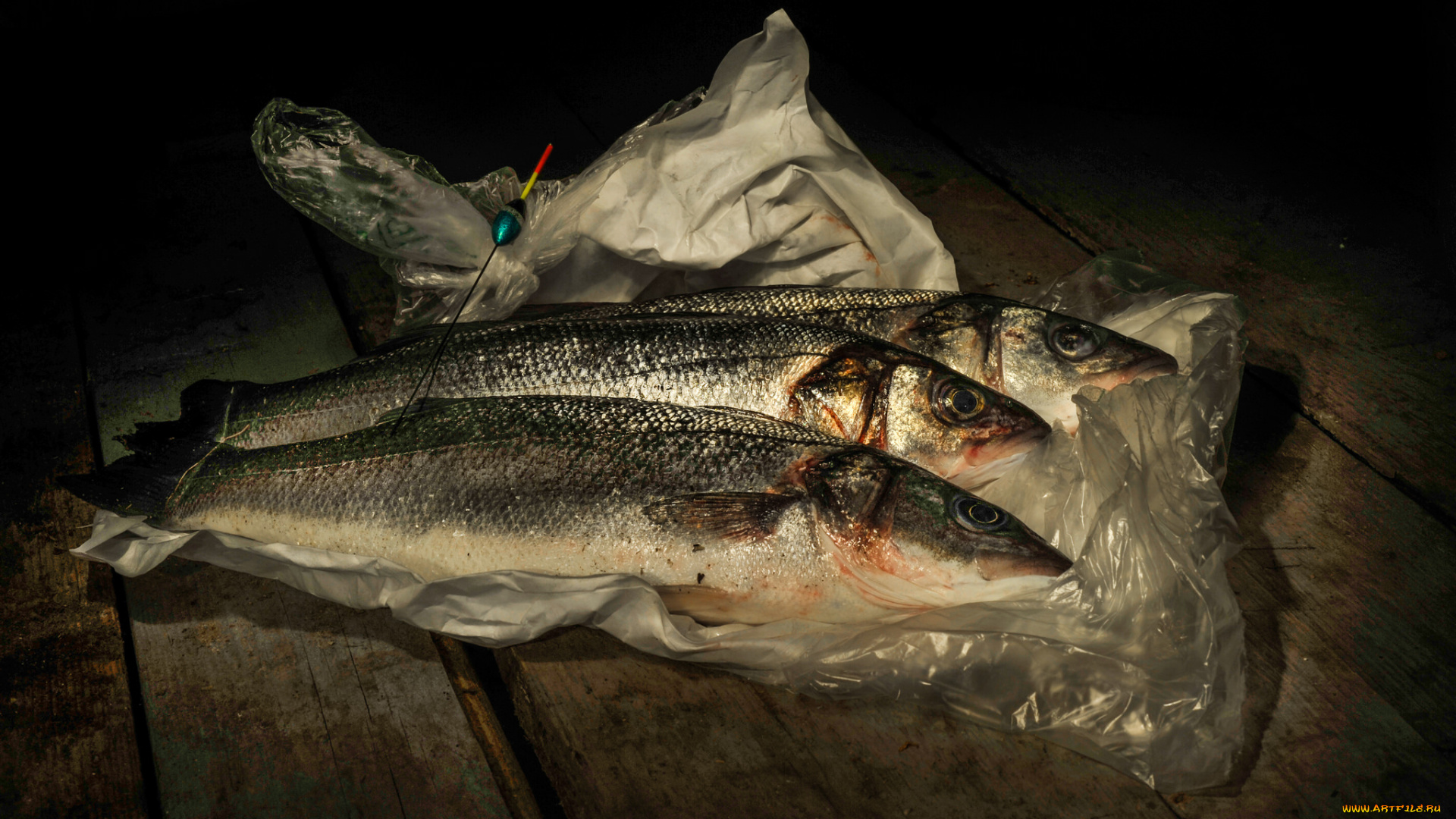 еда, рыба, , морепродукты, , суши, , роллы, снедь