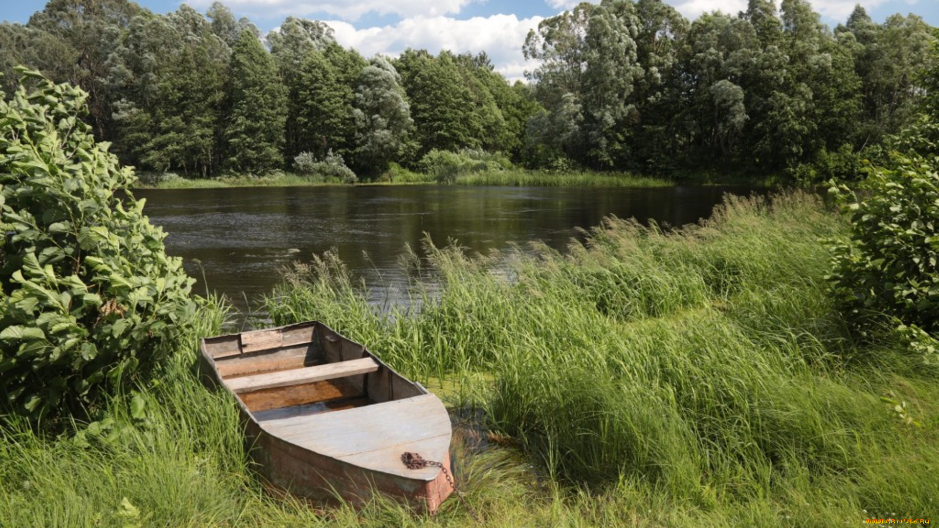 корабли, лодки, , шлюпки, деревья, лес, лодка, вода, озеро, природа