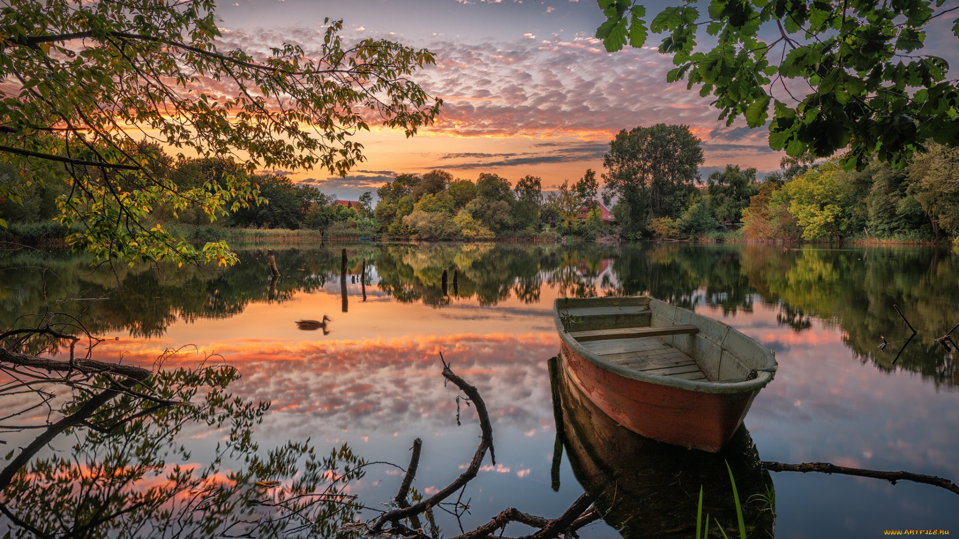 корабли, лодки, , шлюпки, пруд, озеро, утка, лодка, отражение, ветки, деревья
