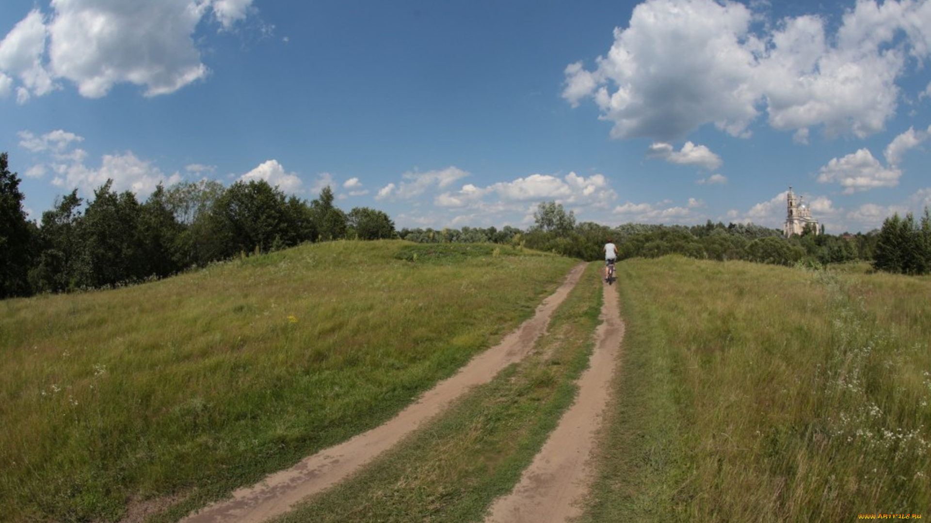 природа, дороги, дорога, лес, деревья