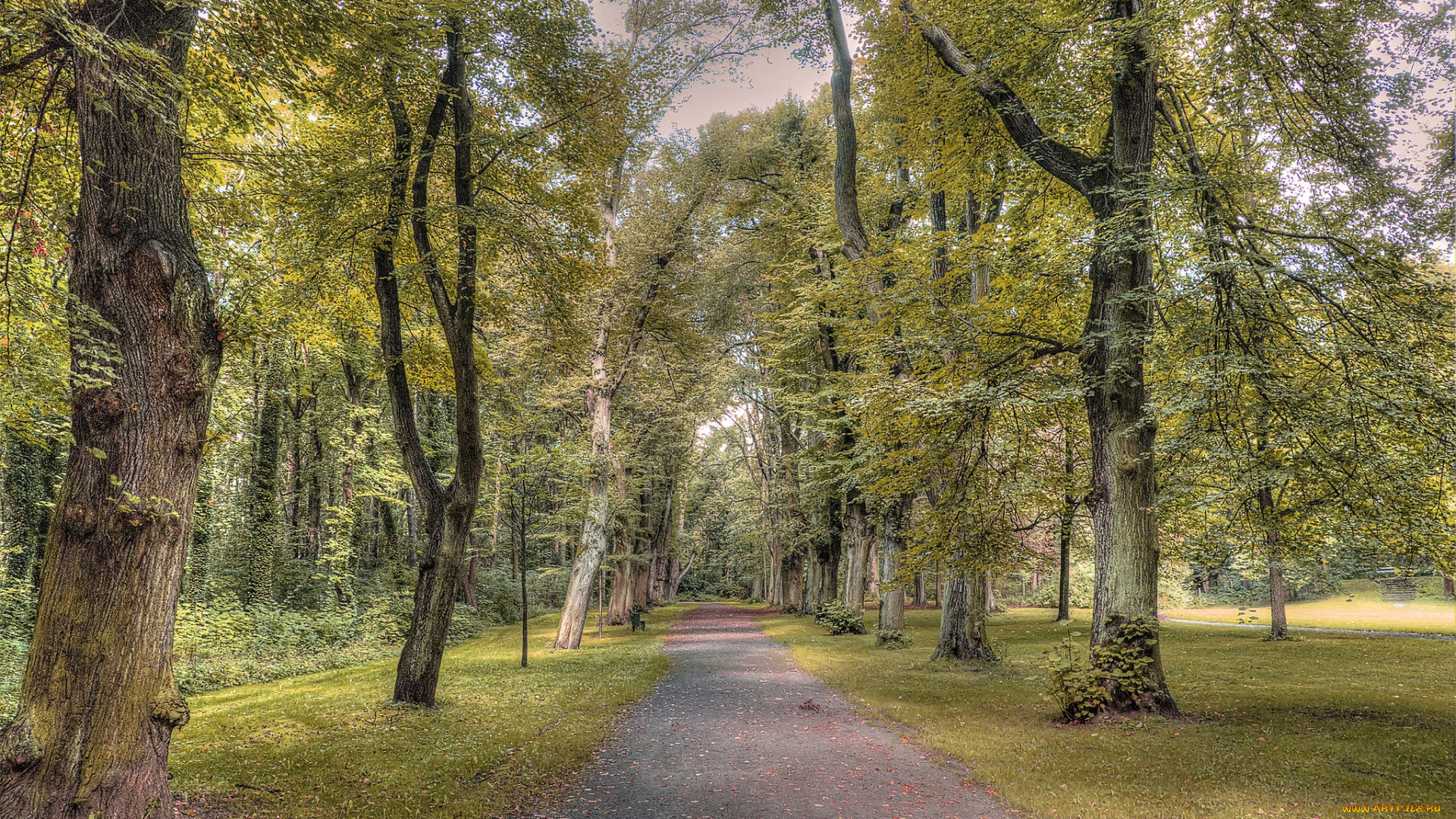 природа, дороги, простор