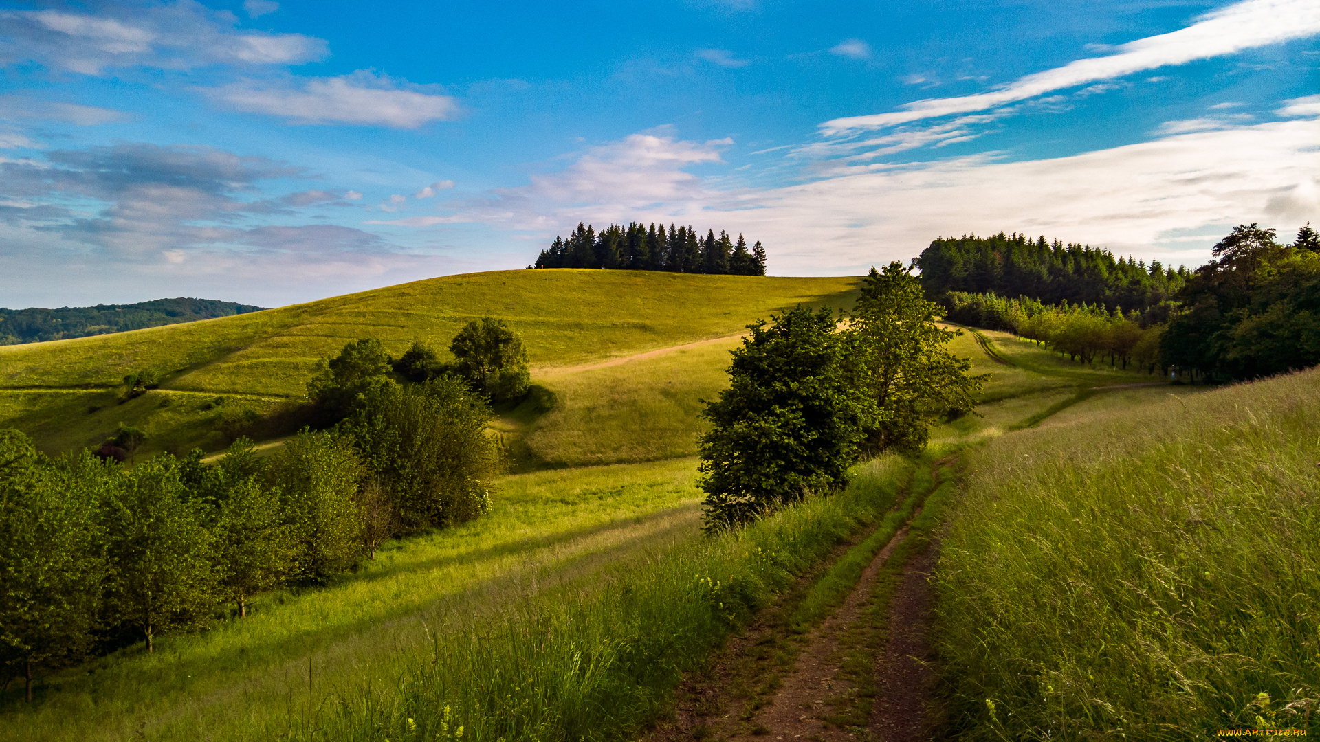 природа, дороги, простор