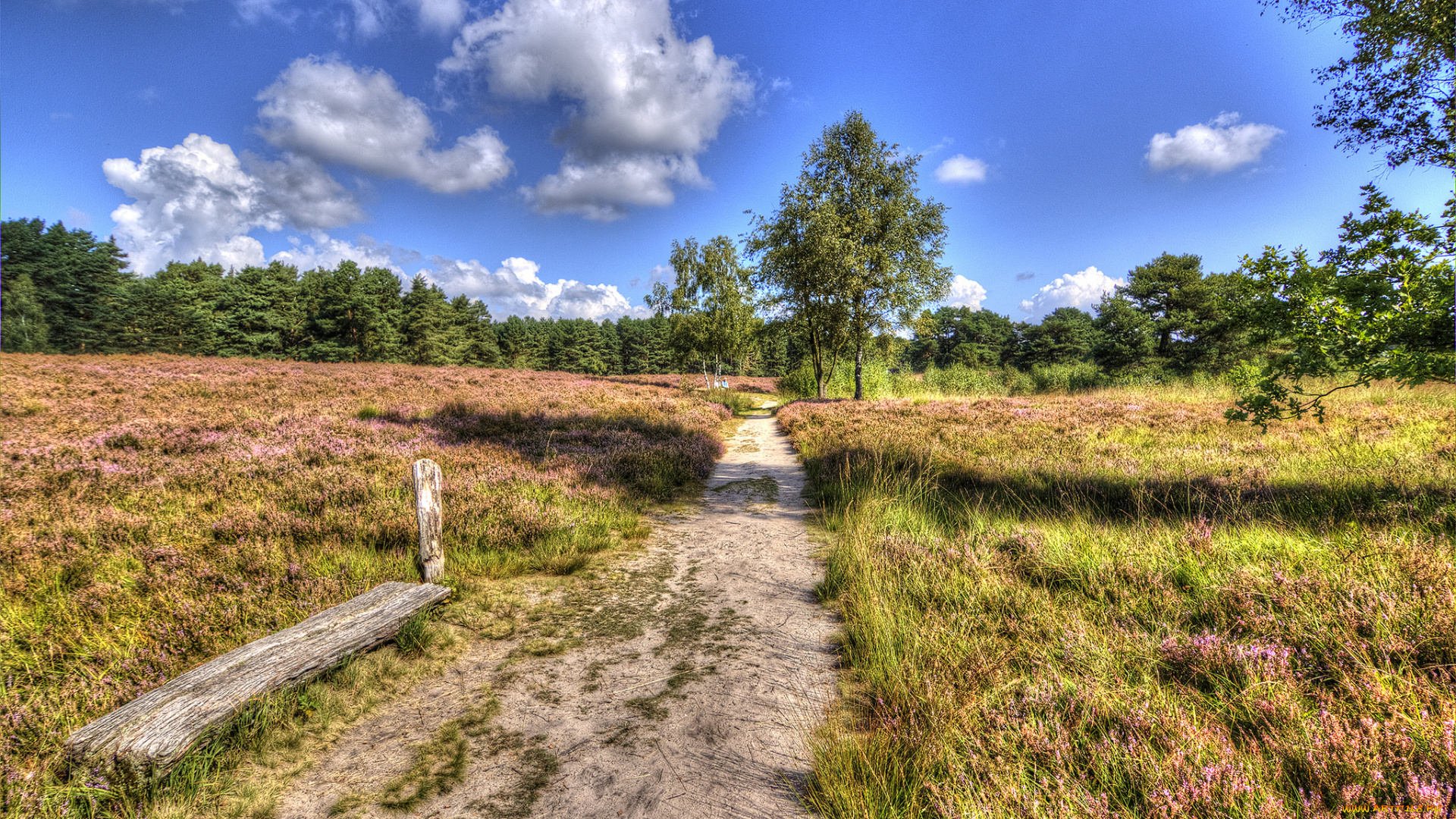 природа, дороги, простор