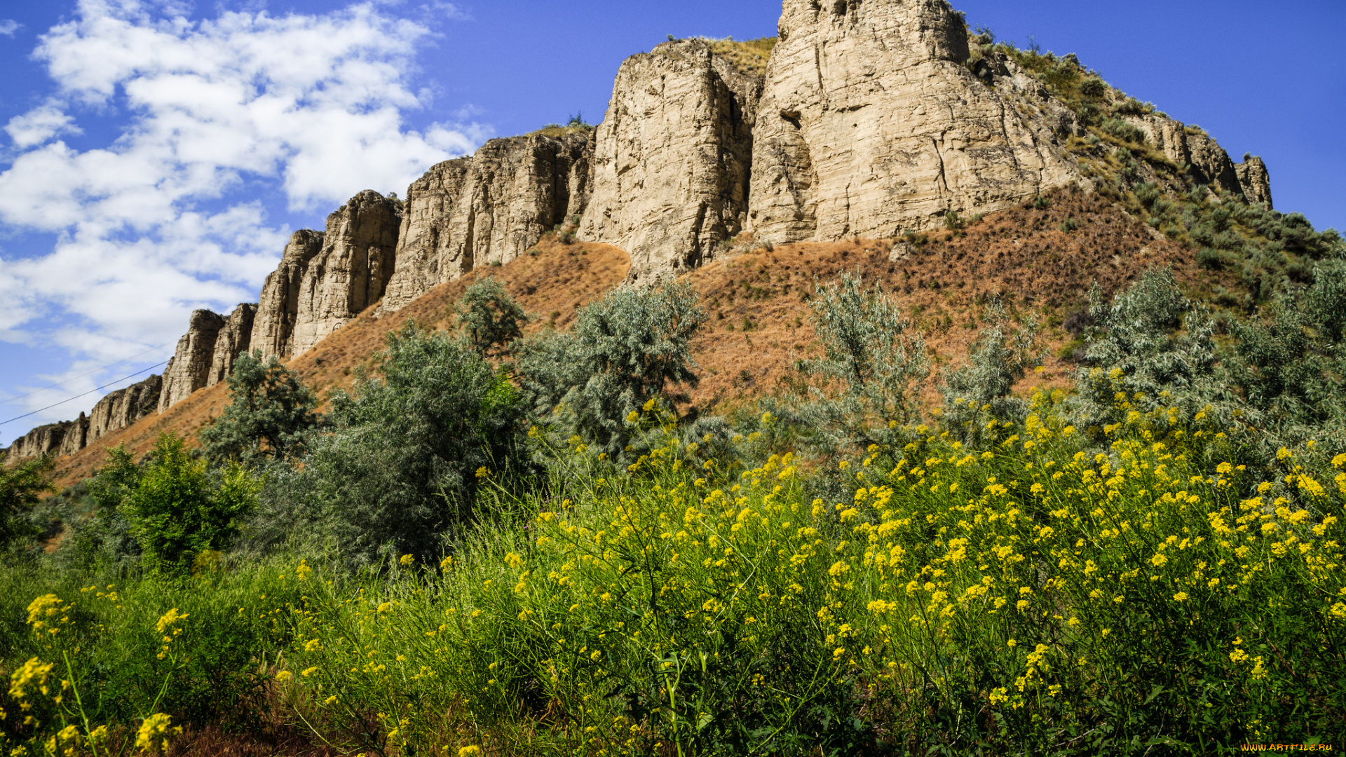 природа, горы, простор