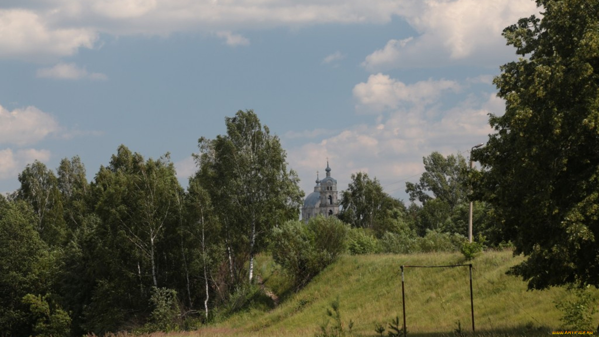 природа, лес, деревья