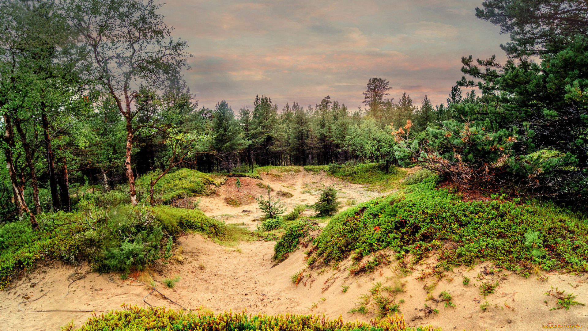 природа, пейзажи, простор