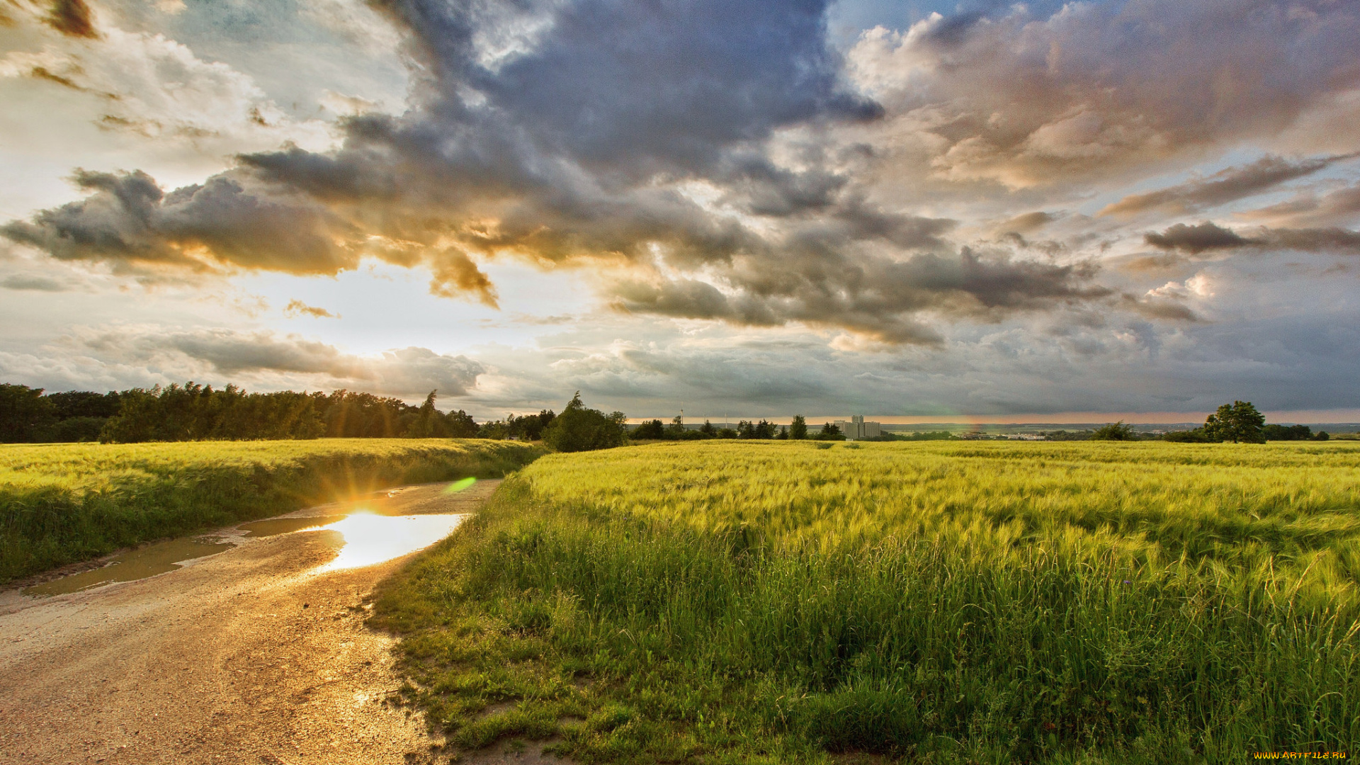 природа, пейзажи, простор