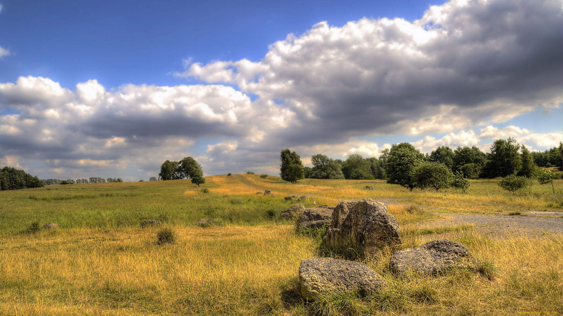 природа, поля, простор