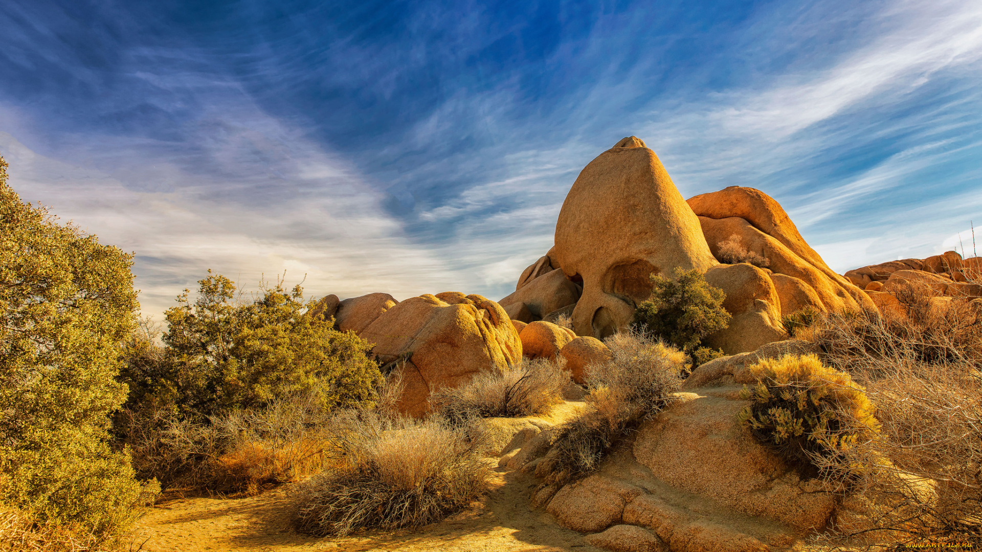 природа, пустыни, простор