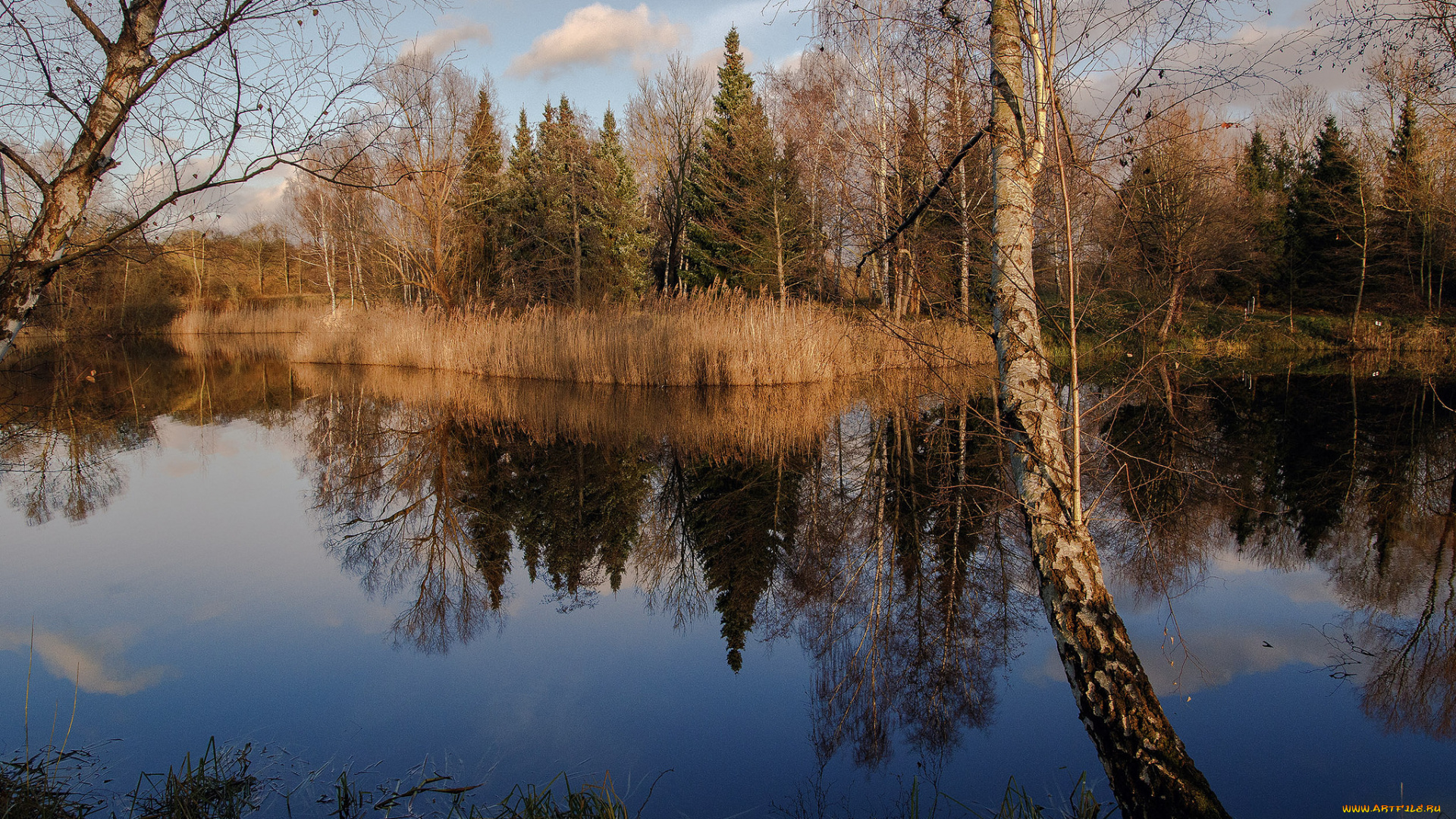природа, реки, озера, простор