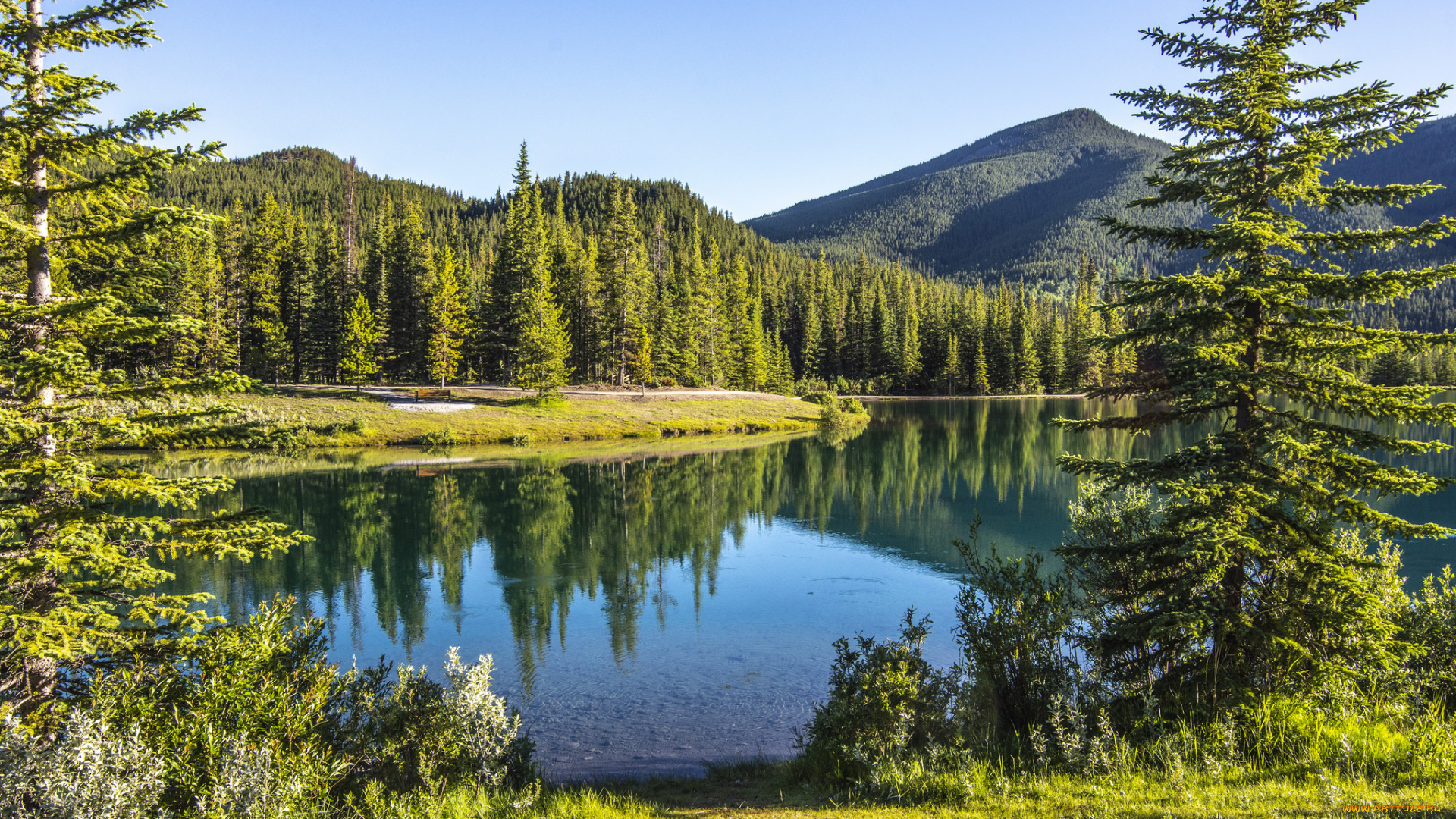 природа, реки, озера, простор