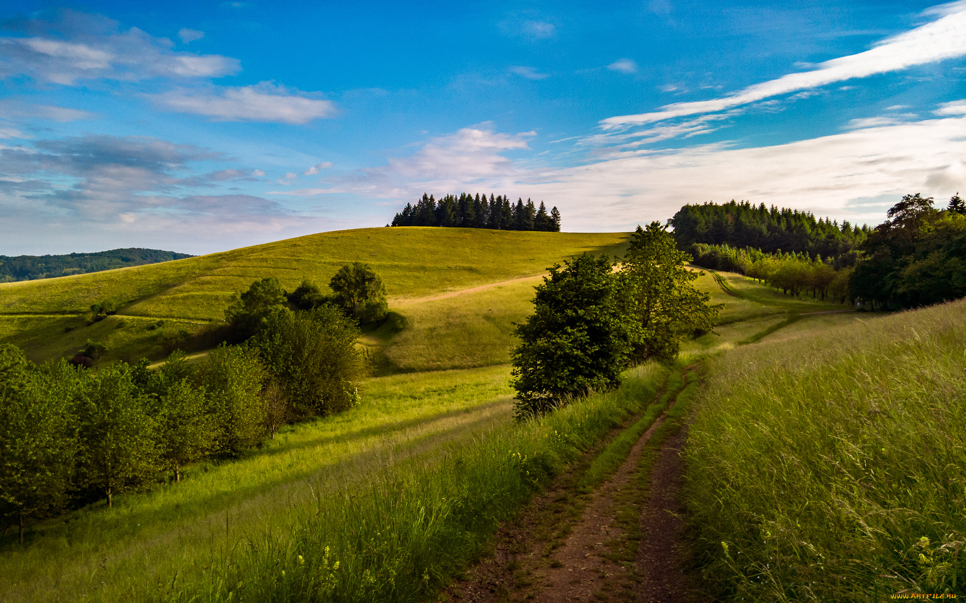 природа, дороги, простор