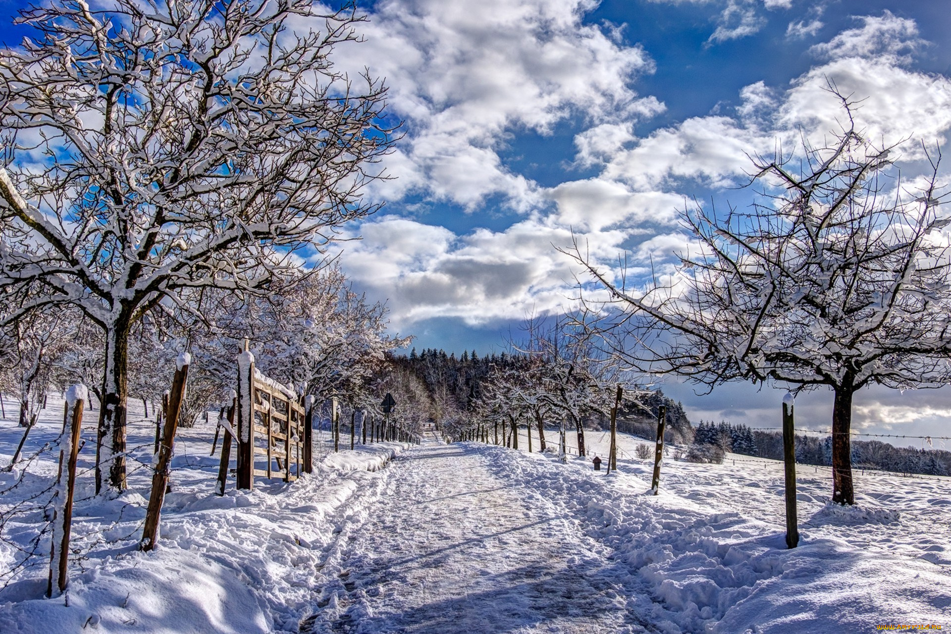 природа, зима, простор