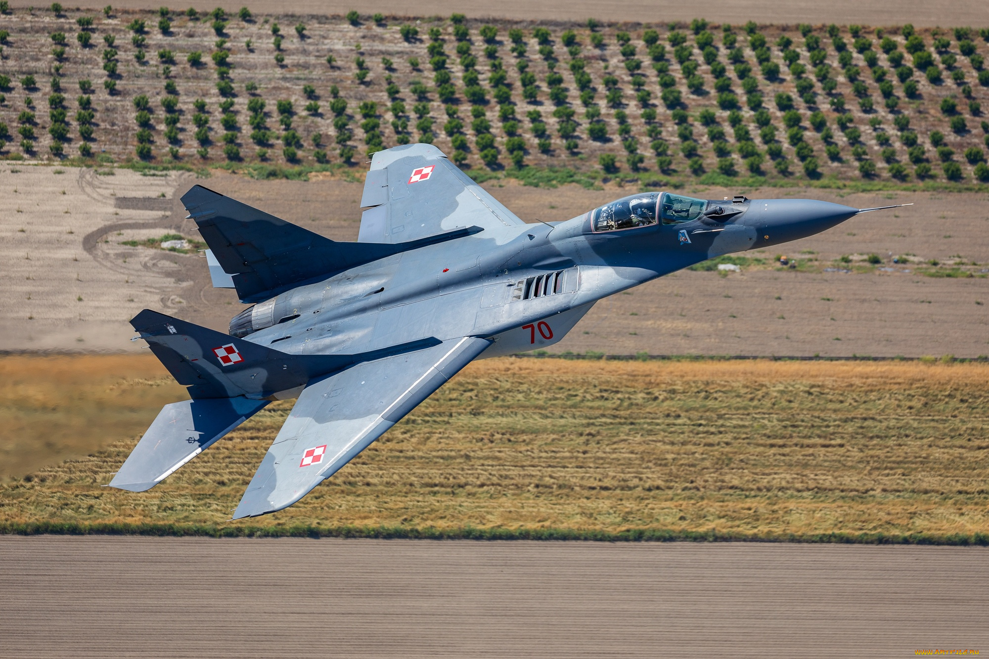 авиация, боевые, самолёты, ввс, польши, миг-29а, многоцелевой, истребитель