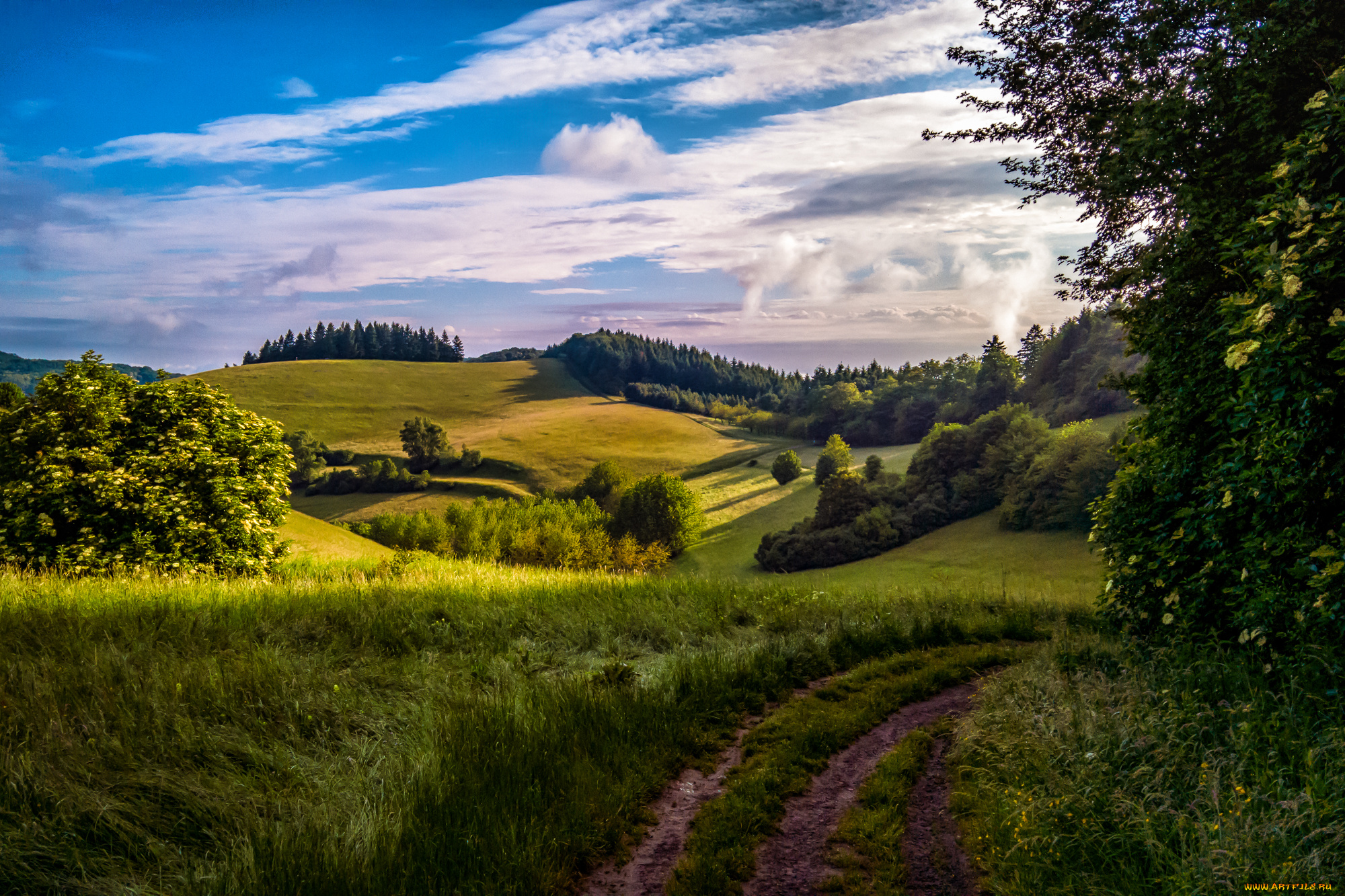 природа, дороги, простор