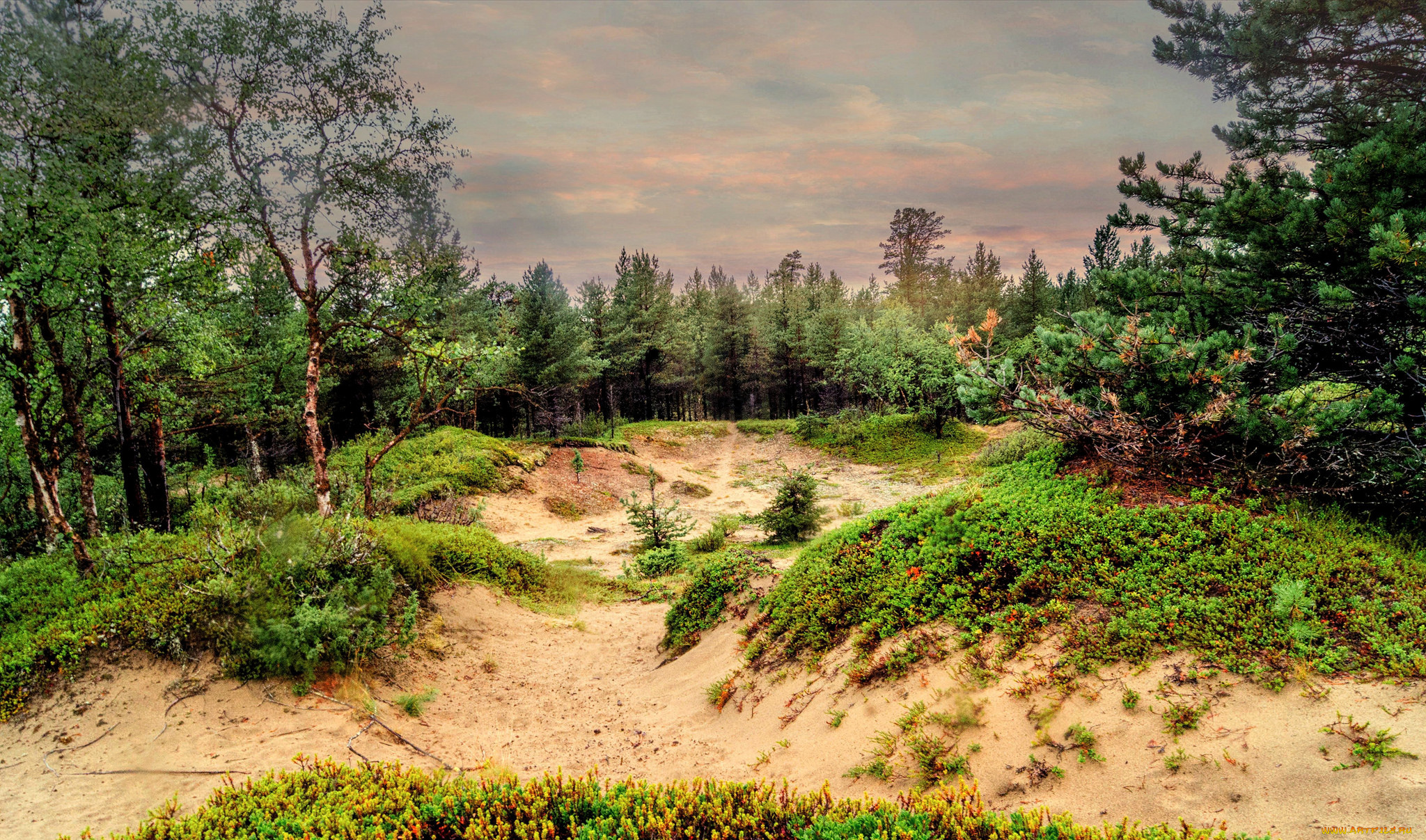 природа, пейзажи, простор