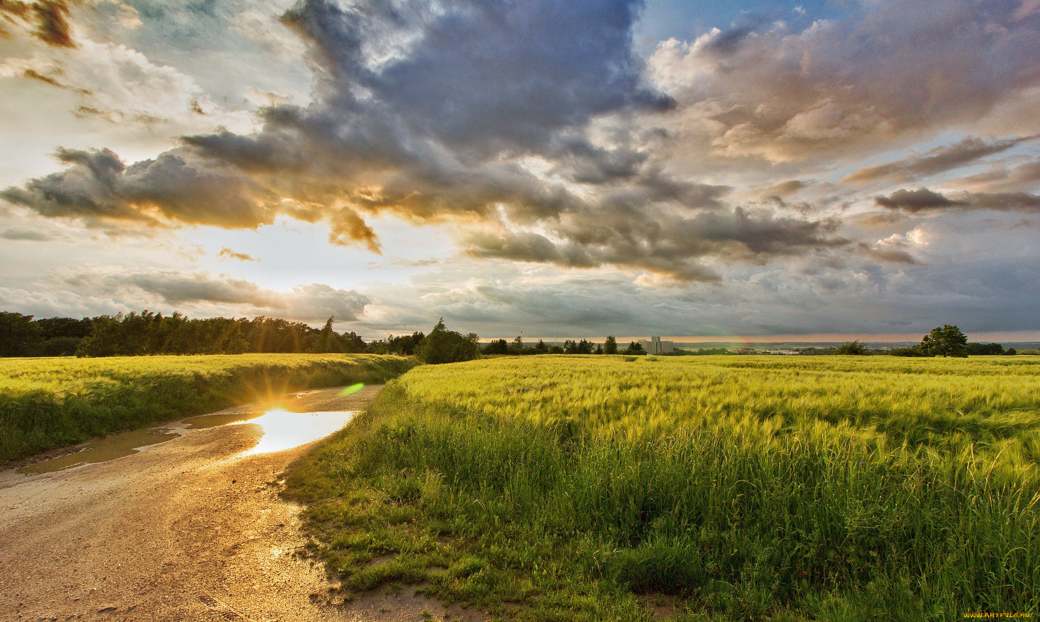 природа, пейзажи, простор