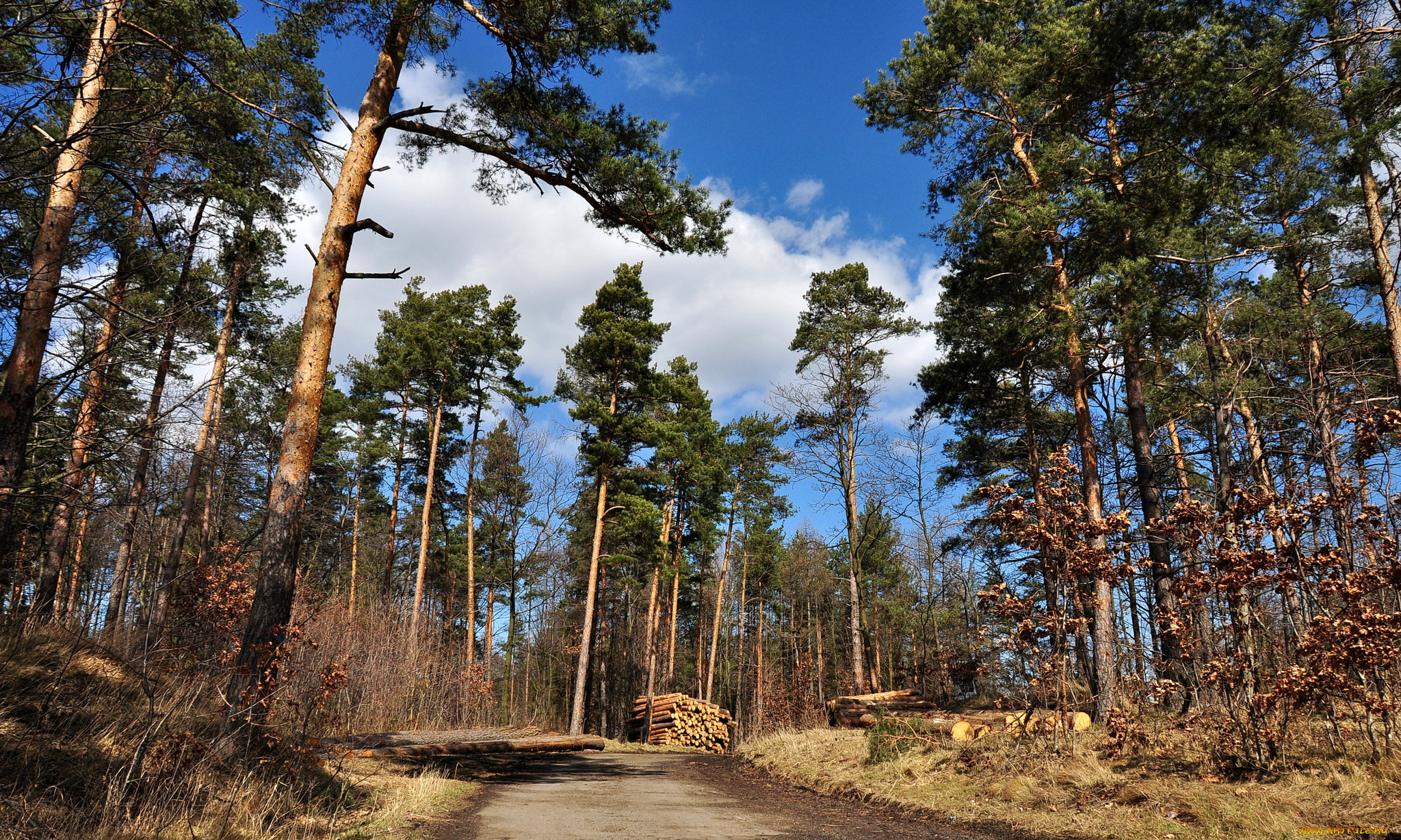 природа, дороги, простор