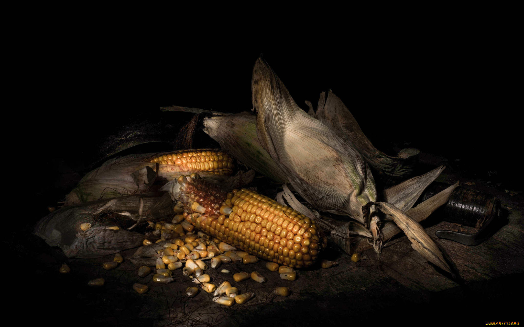 еда, кукуруза, снедь