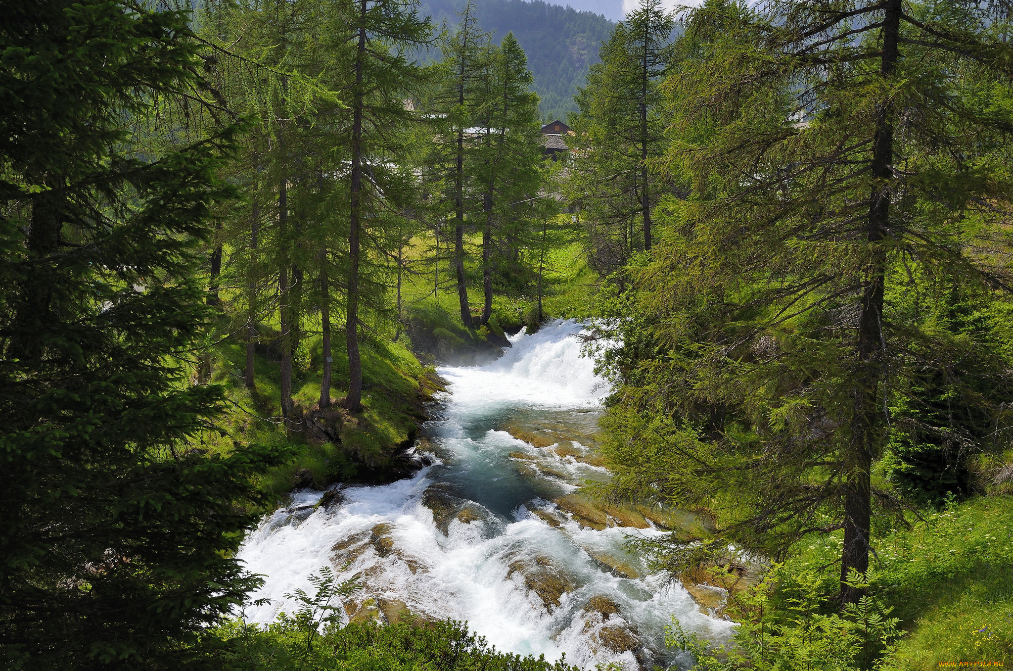 природа, реки, озера, простор