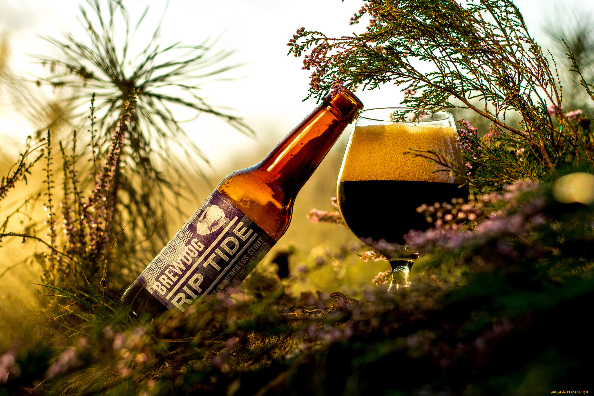 бренды, бренды, напитков, , разное, пиво