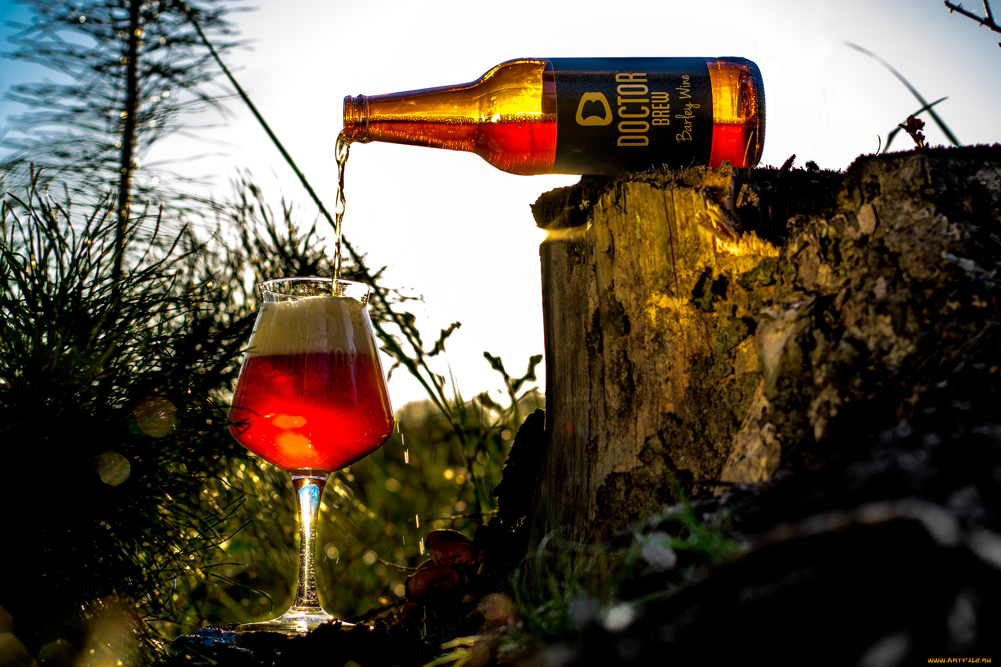 бренды, бренды, напитков, , разное, пиво