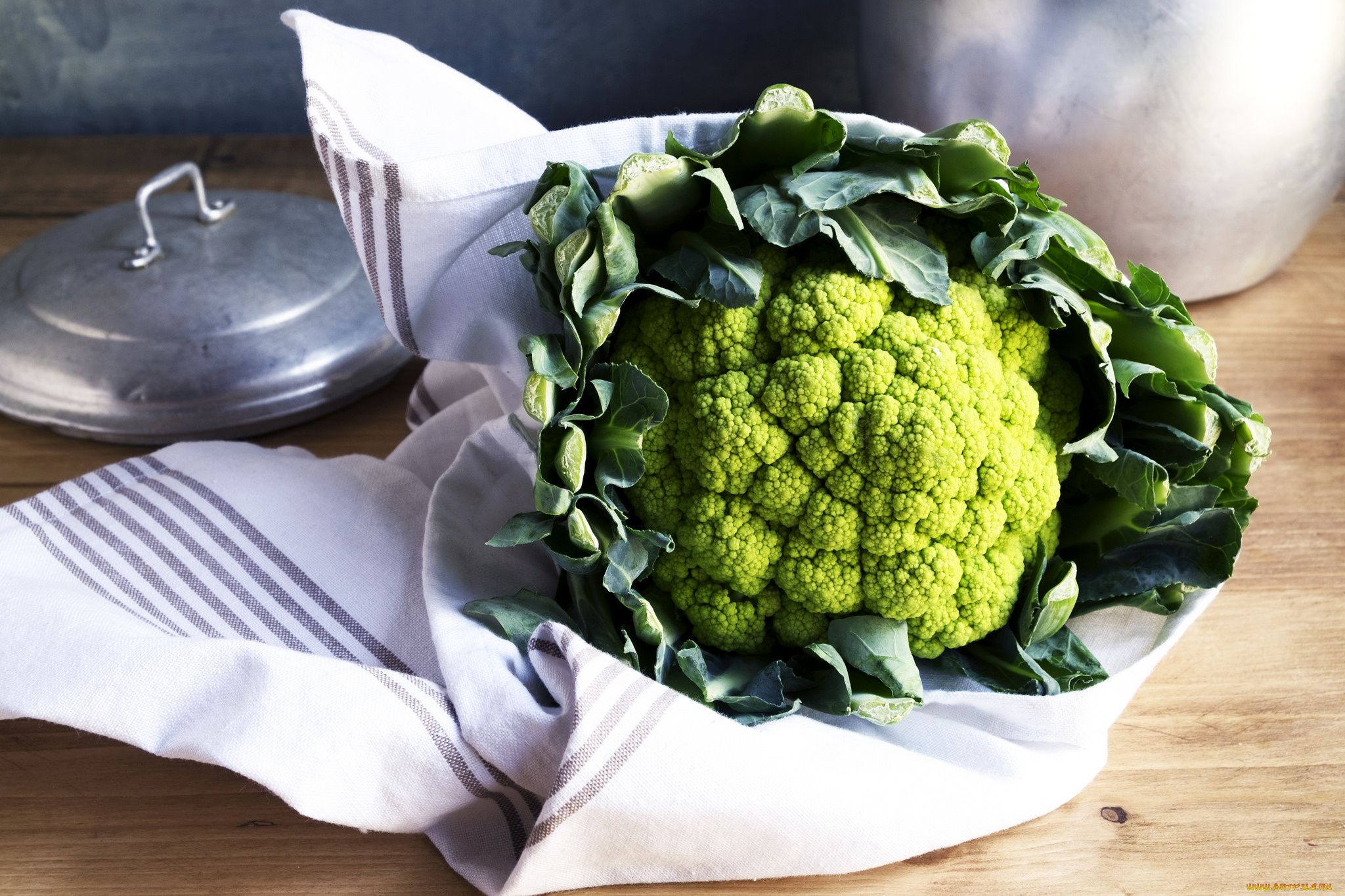 еда, капуста, и, её, разновидности, снедь