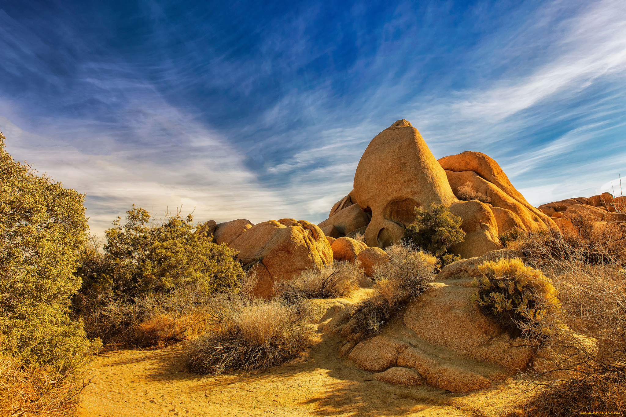 природа, пустыни, простор