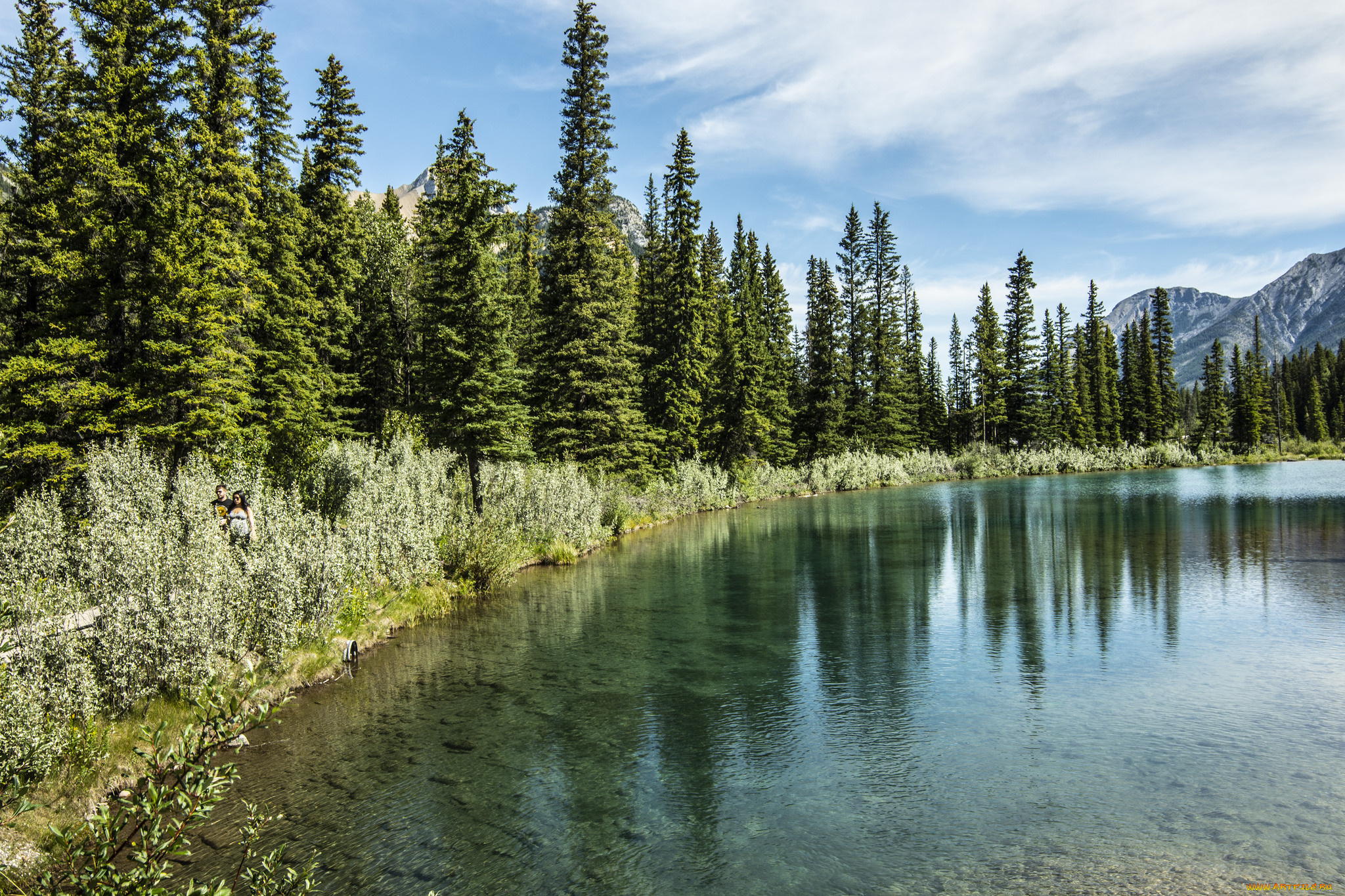 природа, реки, озера, простор