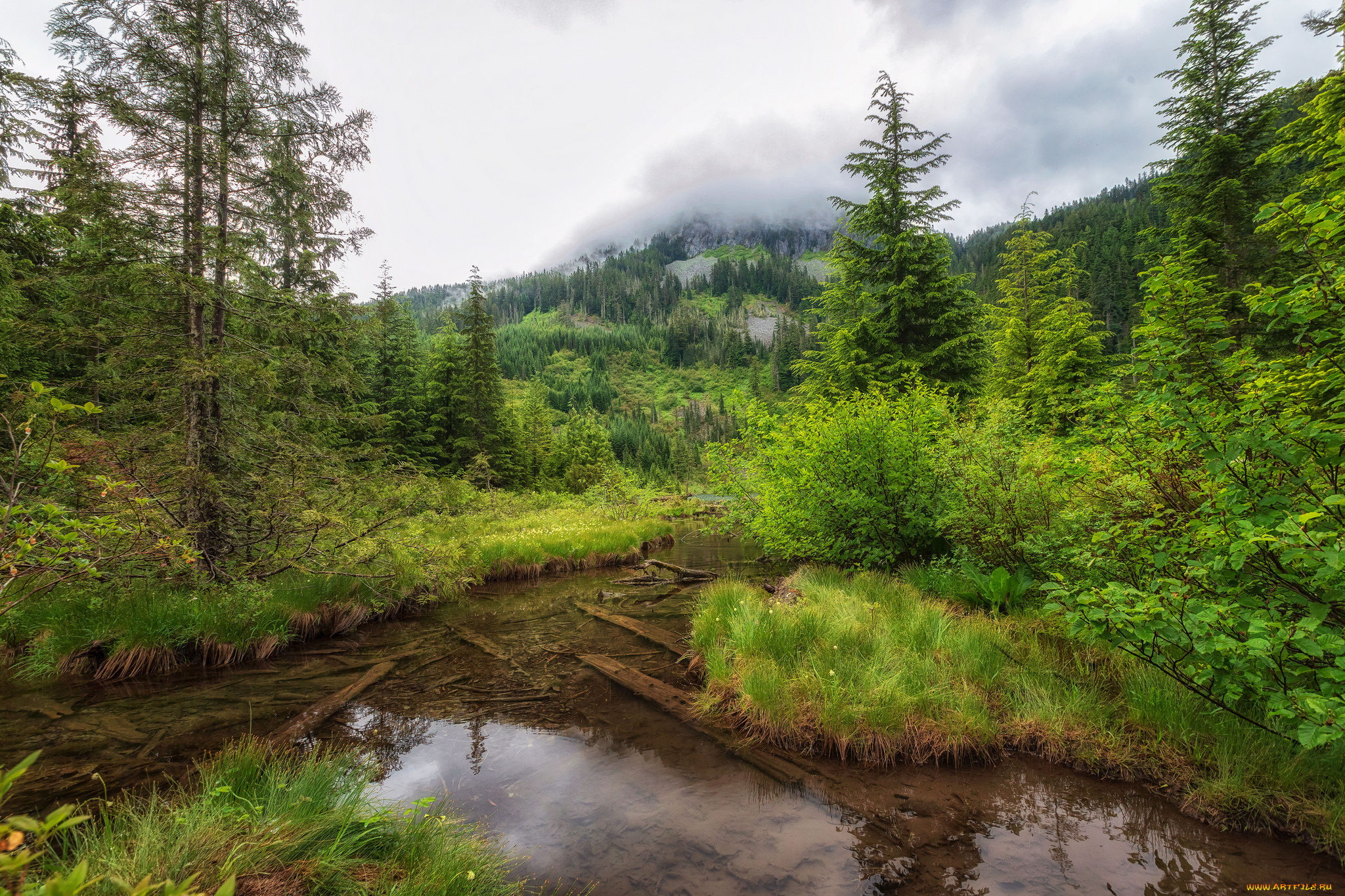 природа, реки, озера, простор