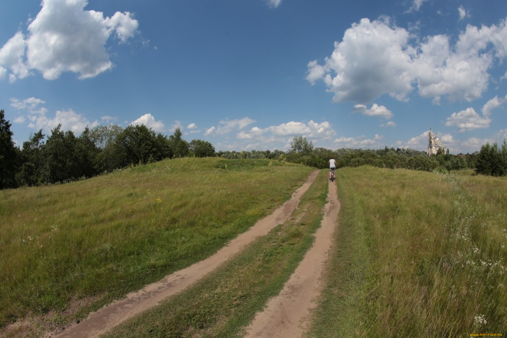 природа, дороги, дорога, лес, деревья