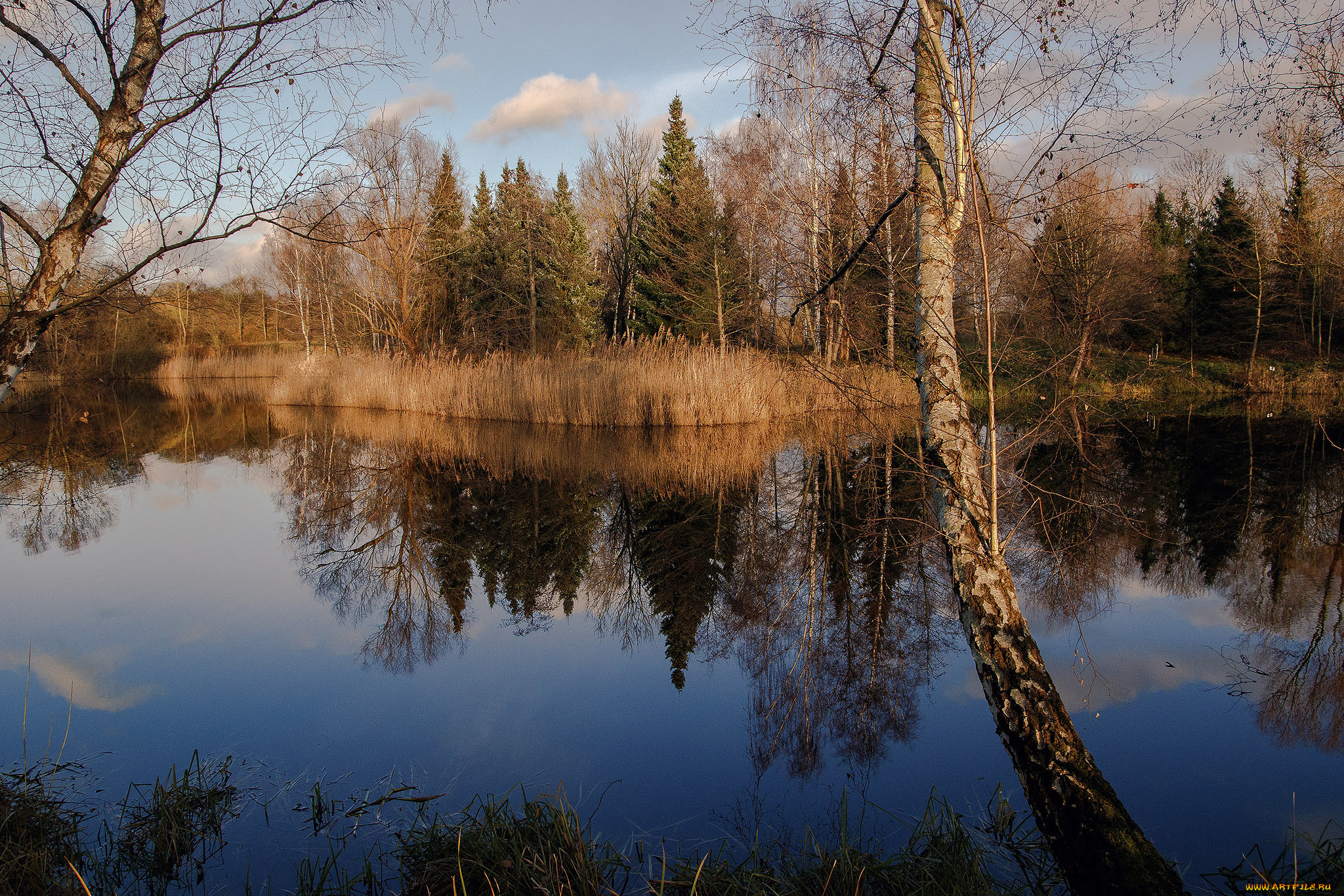 природа, реки, озера, простор