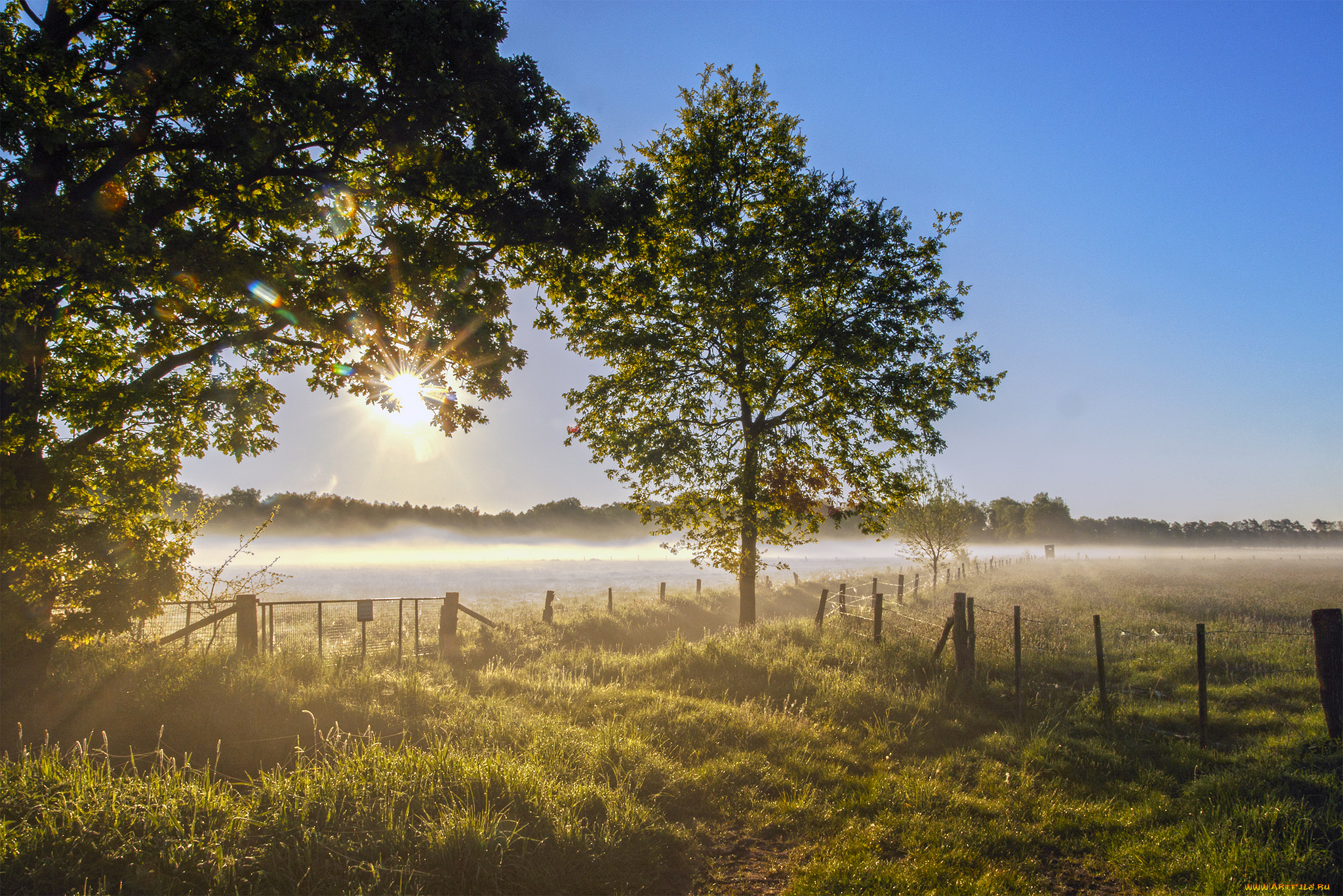 природа, восходы, закаты, простор
