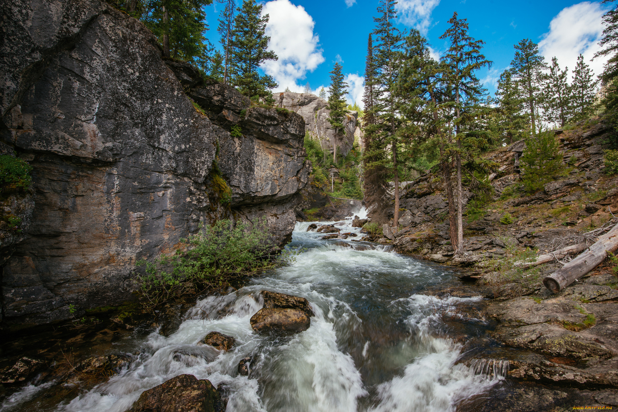 природа, реки, озера, простор