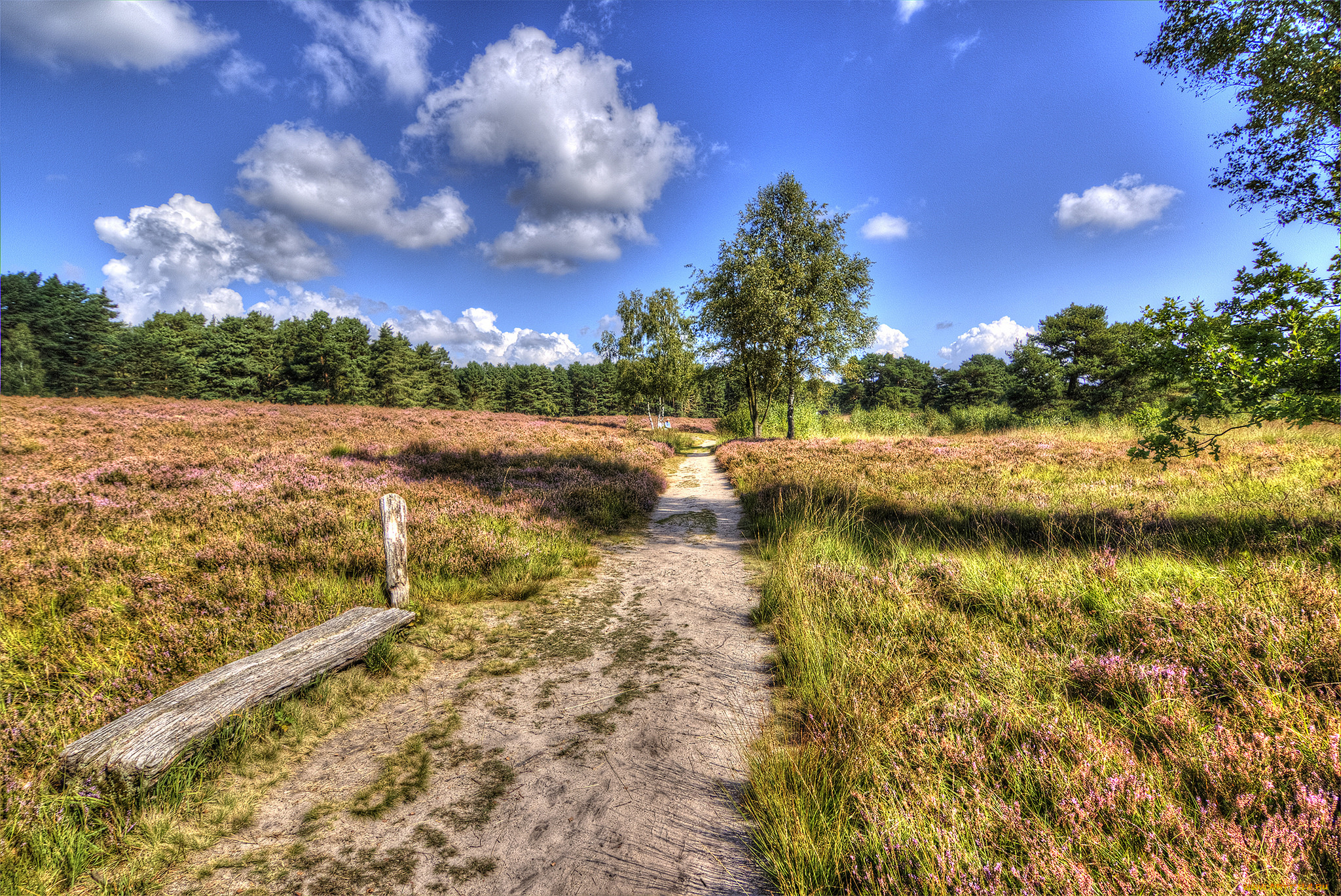 природа, дороги, простор